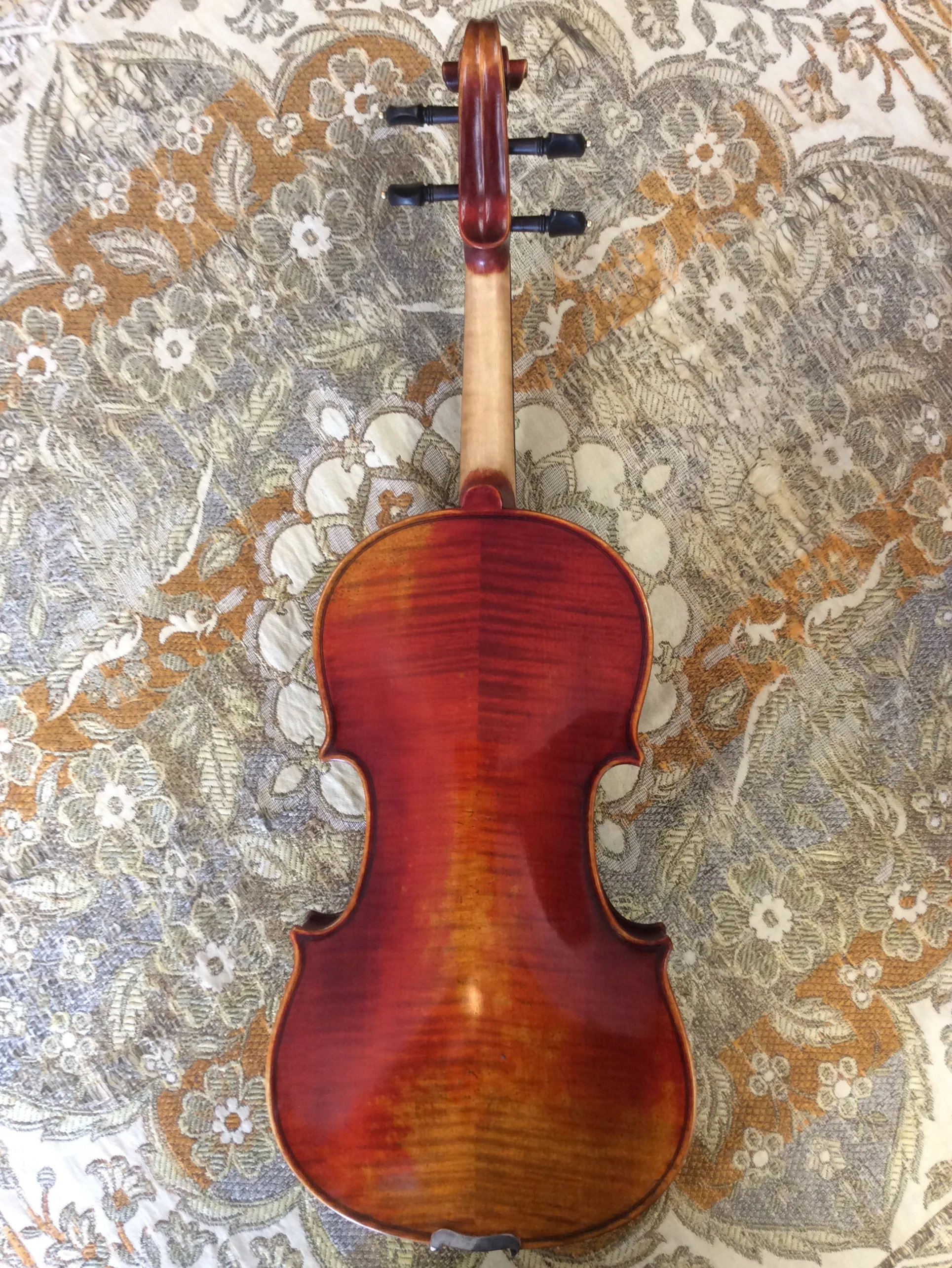 Tulsa Strings Violin Shop - Eastman Model 619 Violin Back.jpg