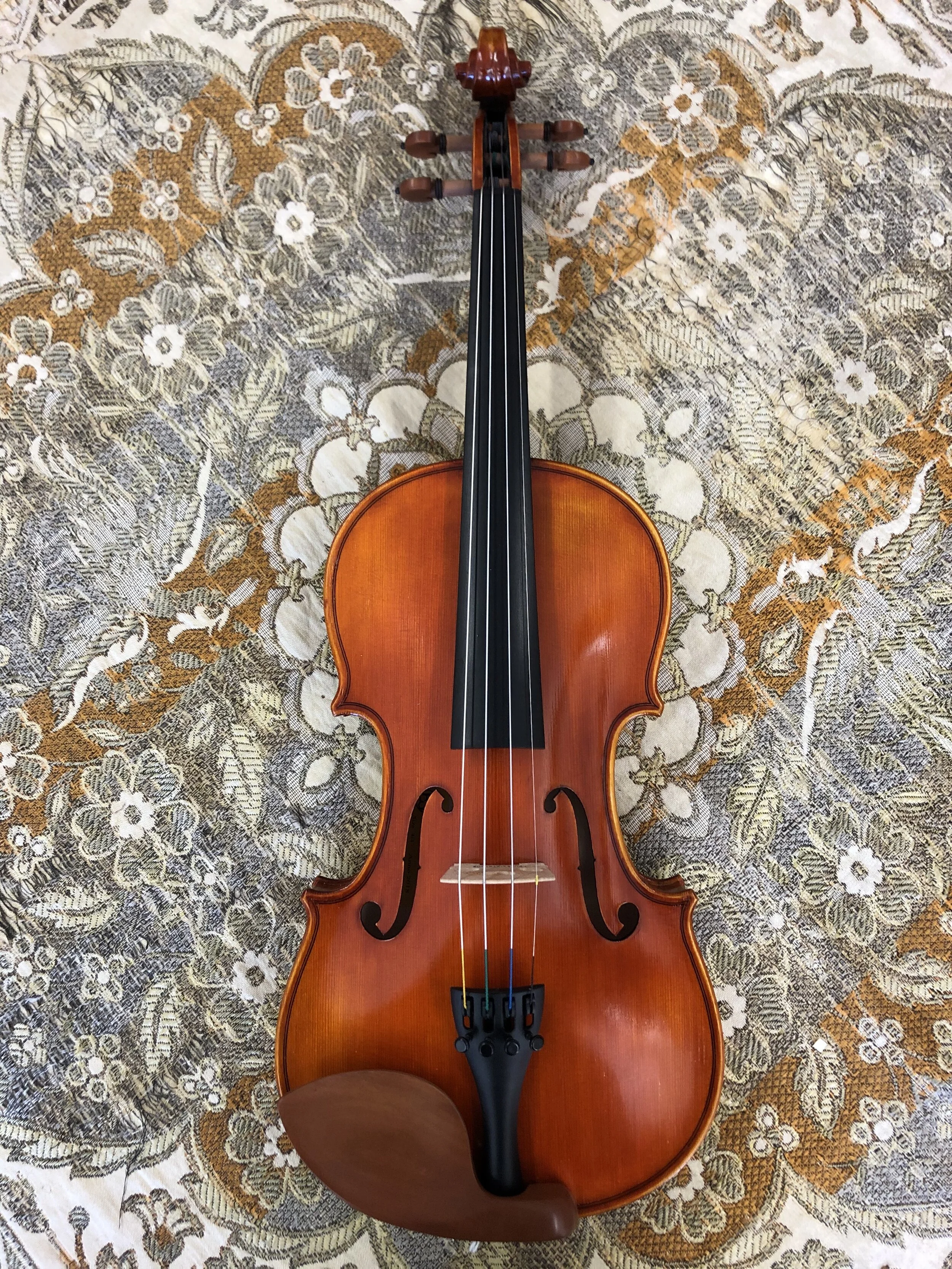 Tulsa Strings Violin Shop - Eastman 200 4:4 Violin Outfit Top.jpg