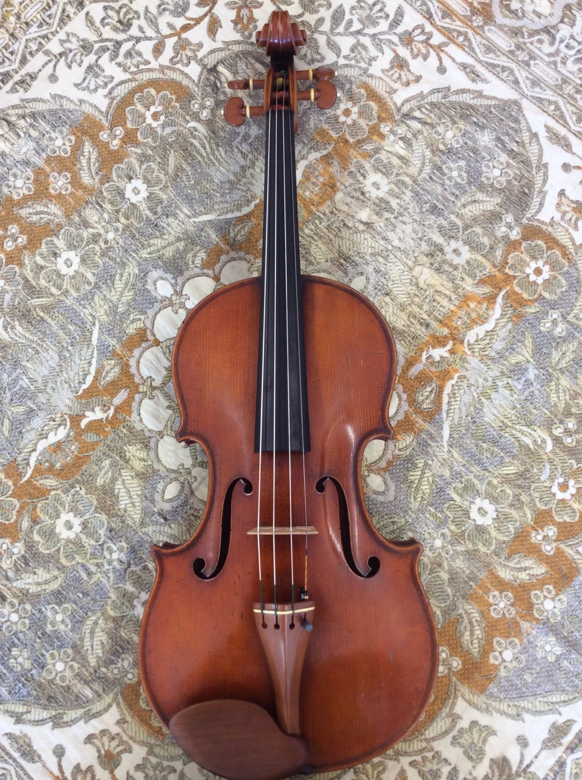 16 1/4" Arlie Moran 1975 Viola