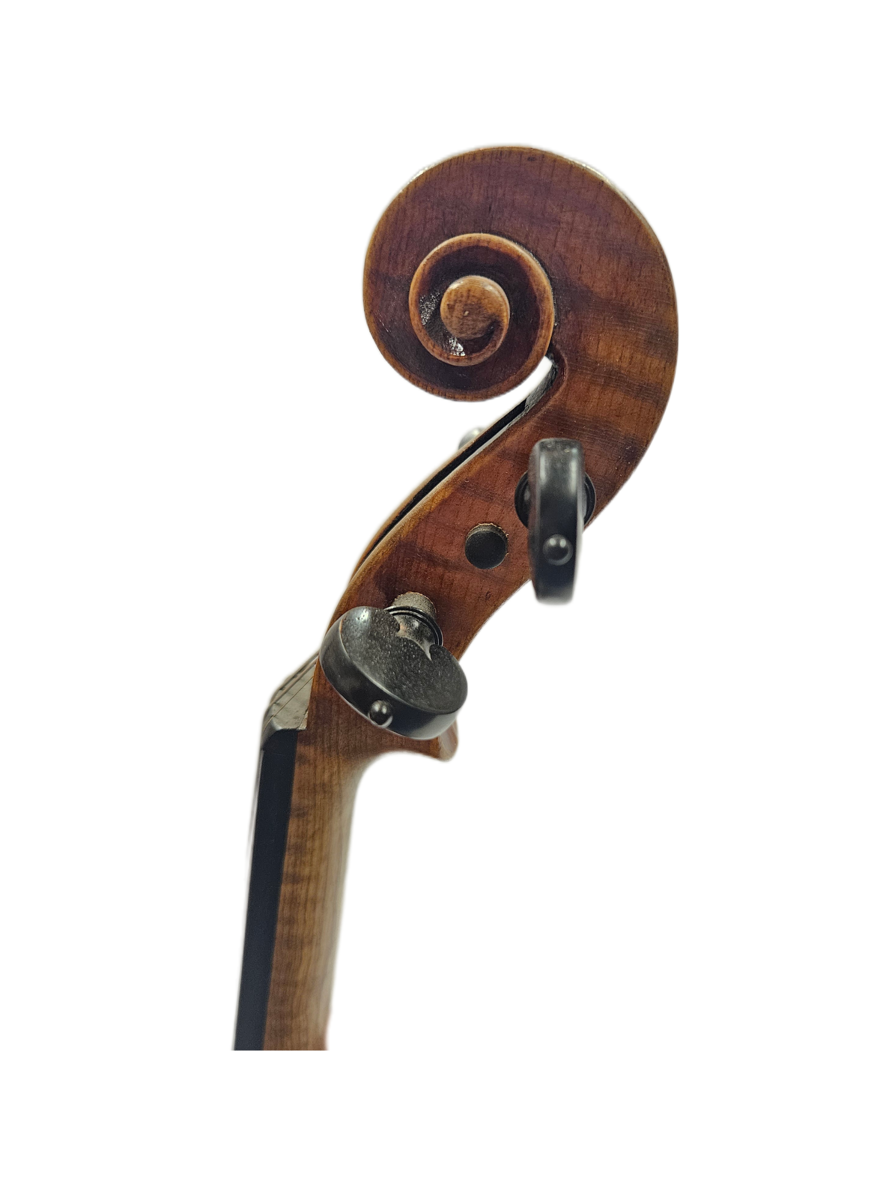 Jay Haide Strad Copy Scroll.png