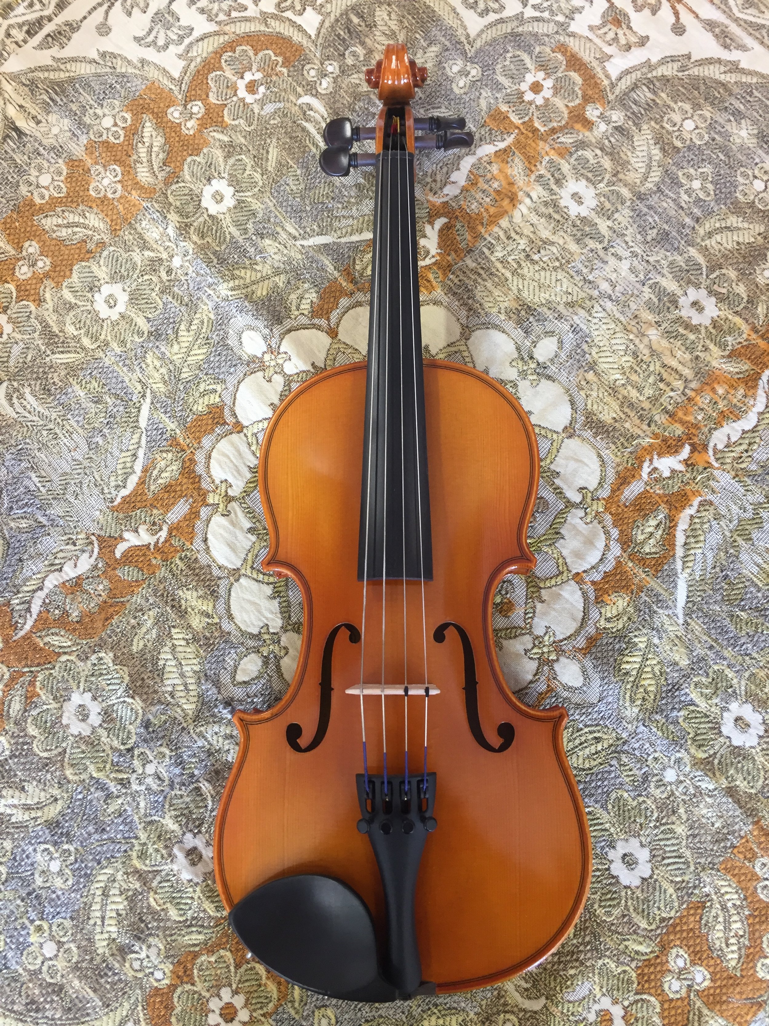 11-16.5" Eastman Model 80 Viola Outfit