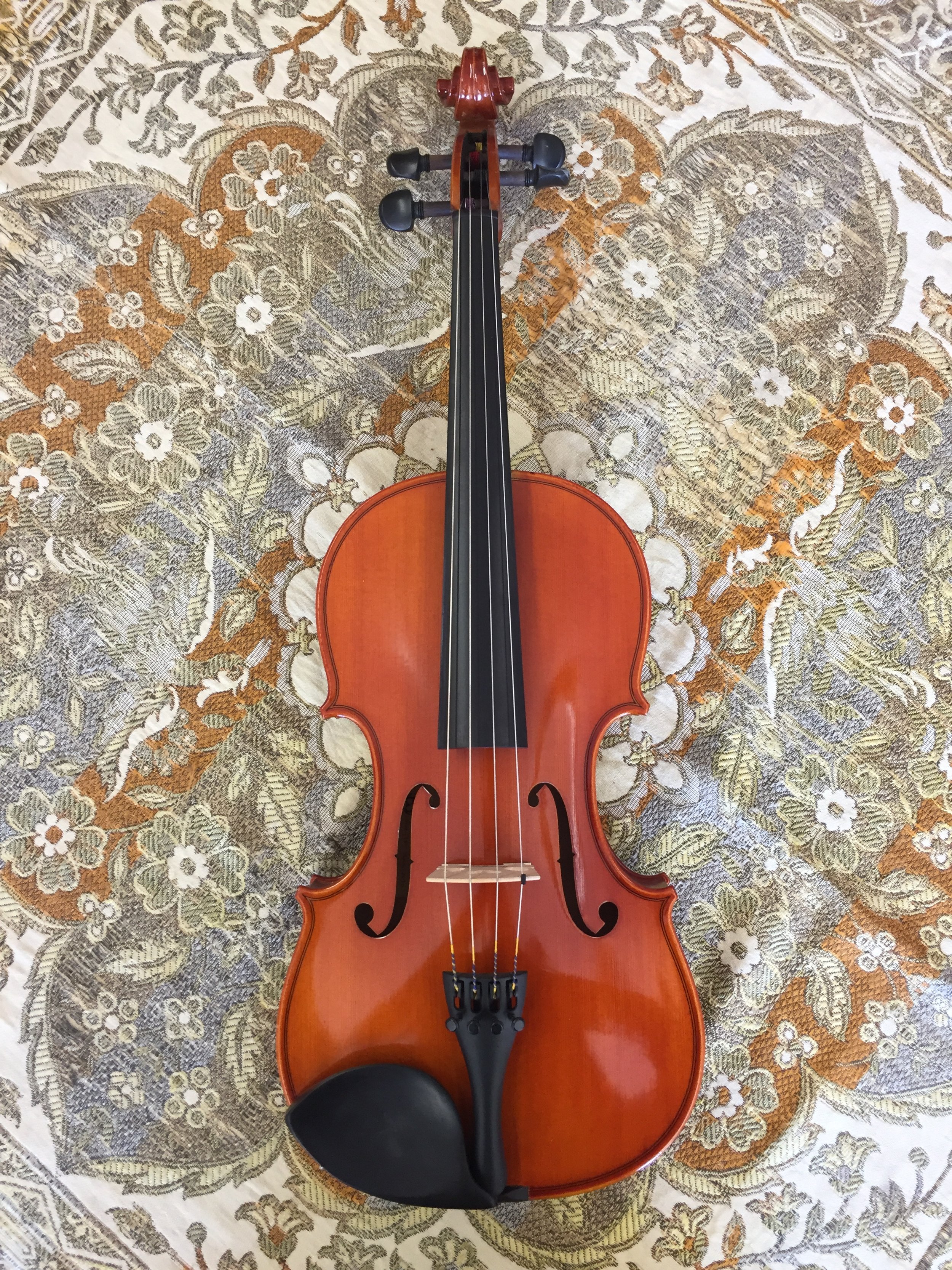 14-16.5" Eastman Model 100 Viola Outfit