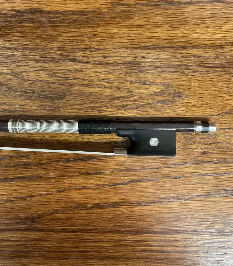 Violin Bow Strings