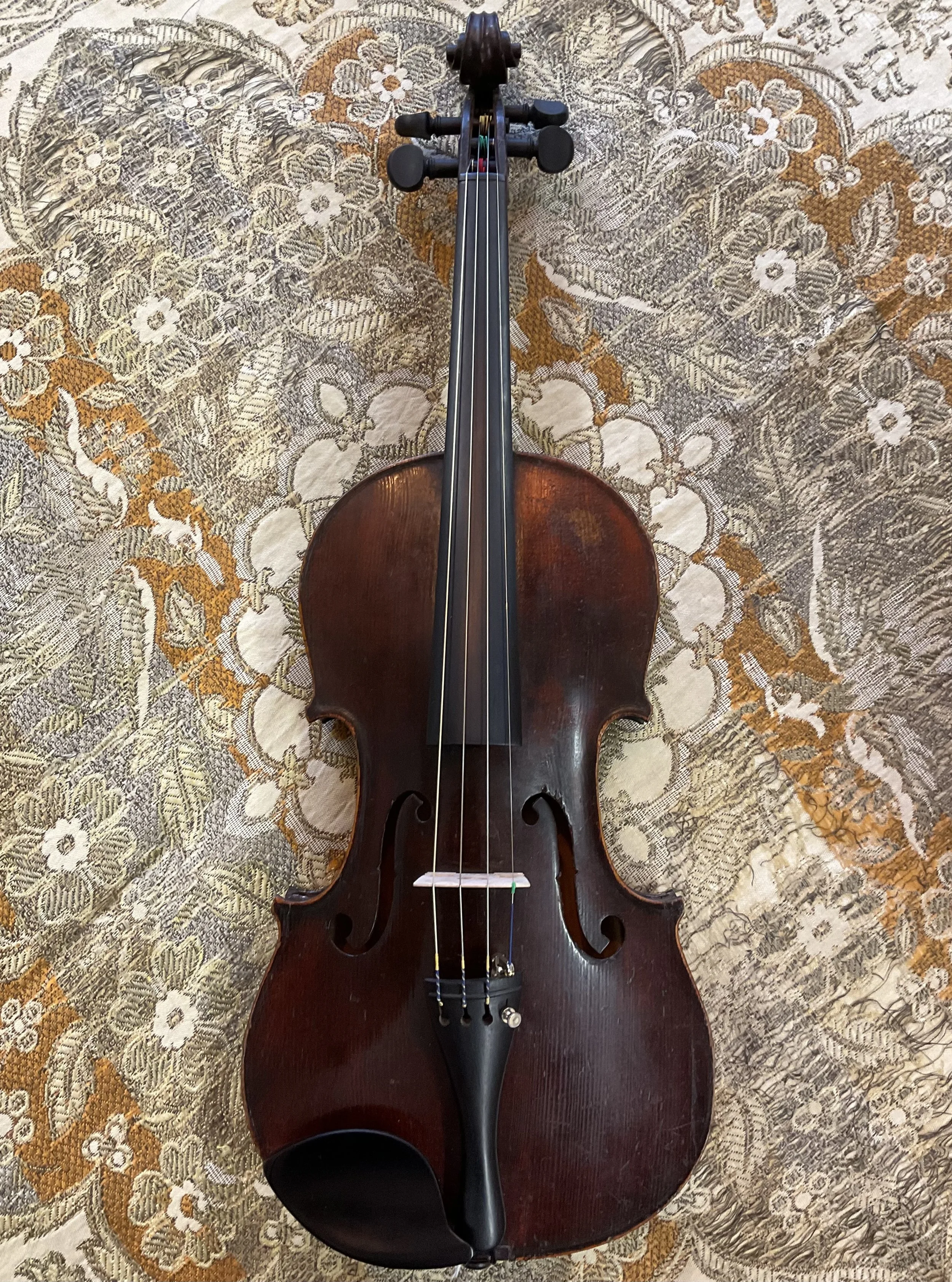 Tulsa Strings Violin Shop - French JTL Violin Top.jpg