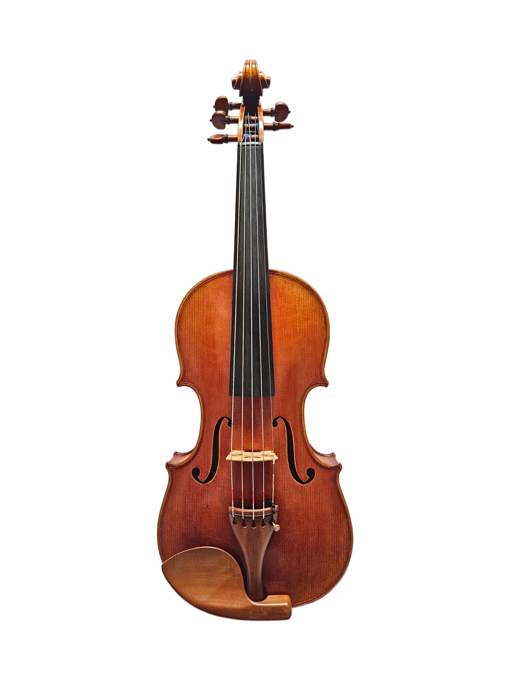 Aldo Romano 15 5-String VA Front.png