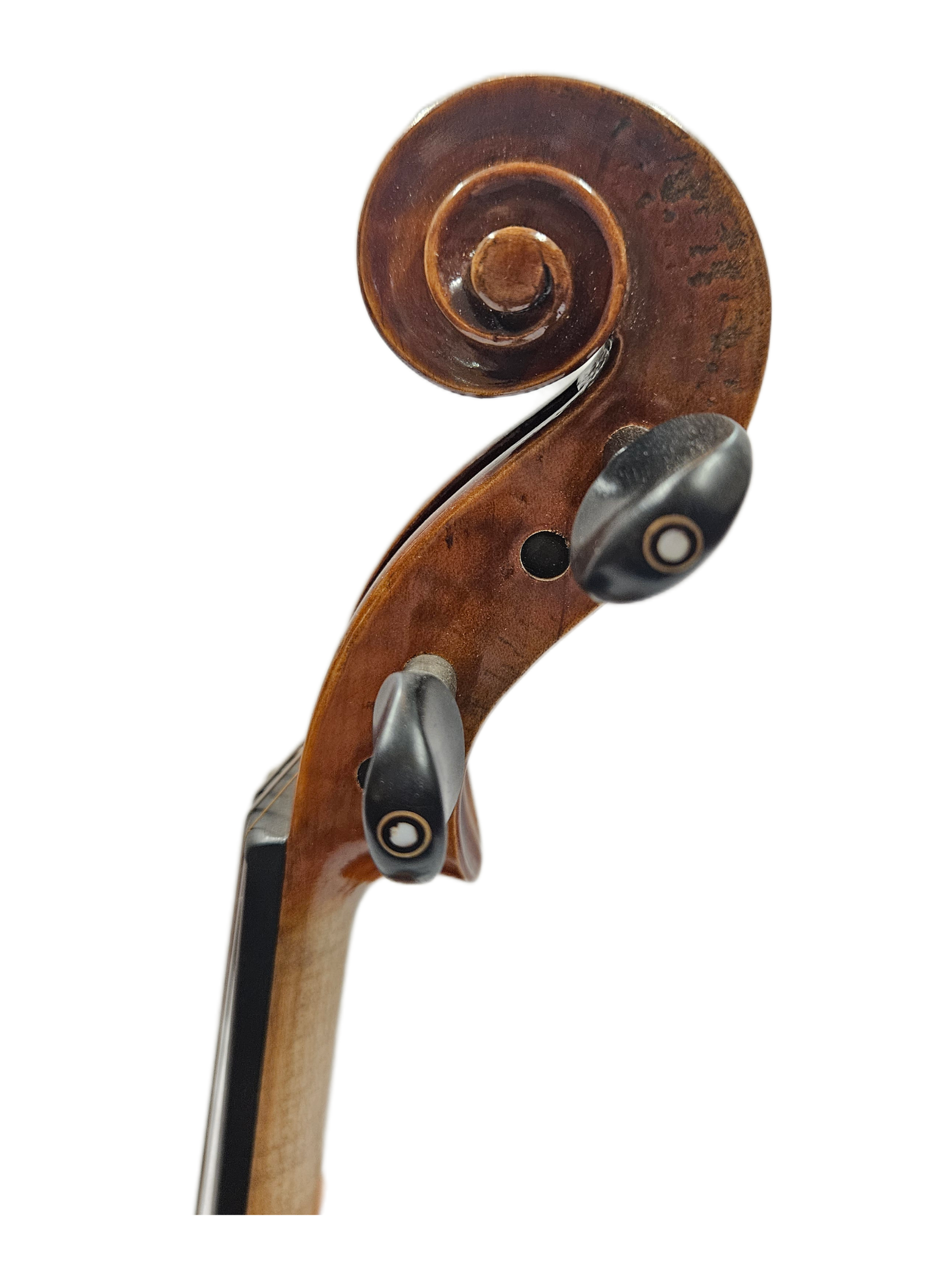 Camillo Callegari Guadagnini Copy Scroll.png