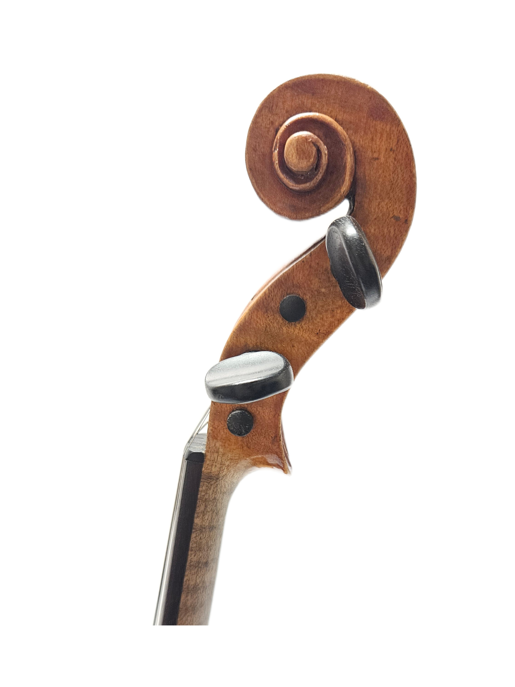 German Stainer Copy VL SCroll.png