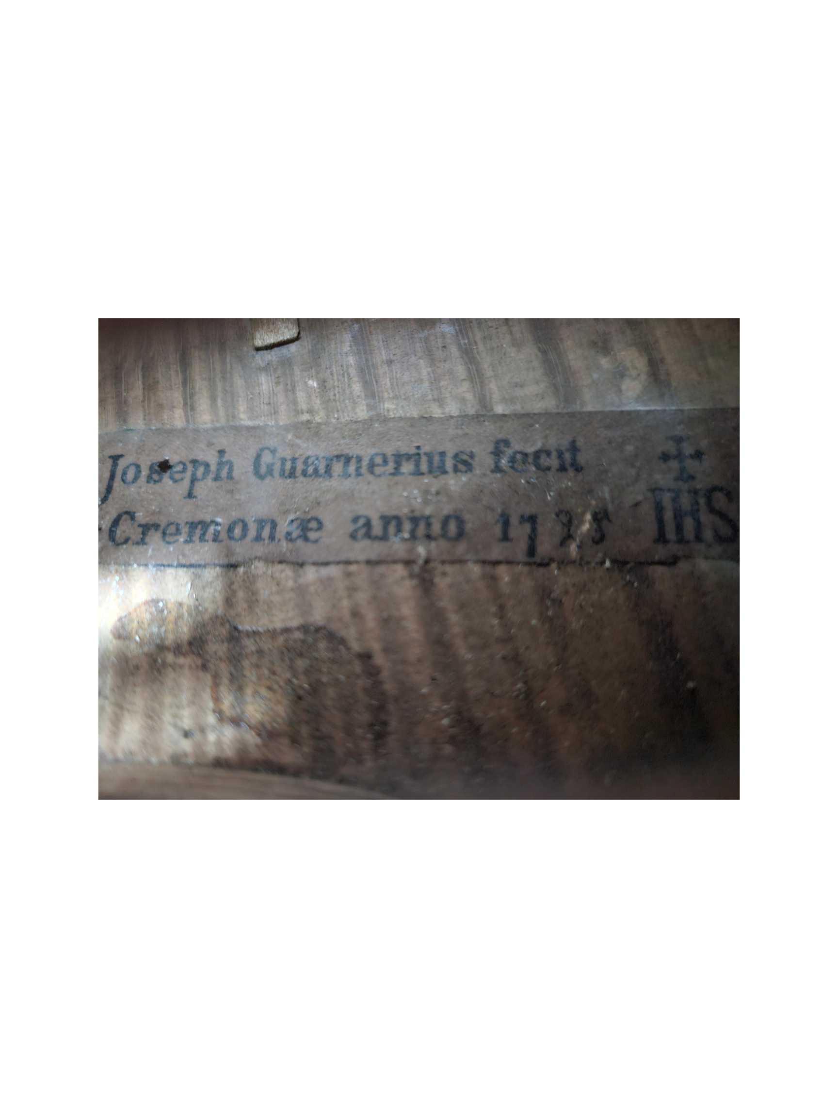 15.25 Guarneri Copy C 1880 VA Stamp.png