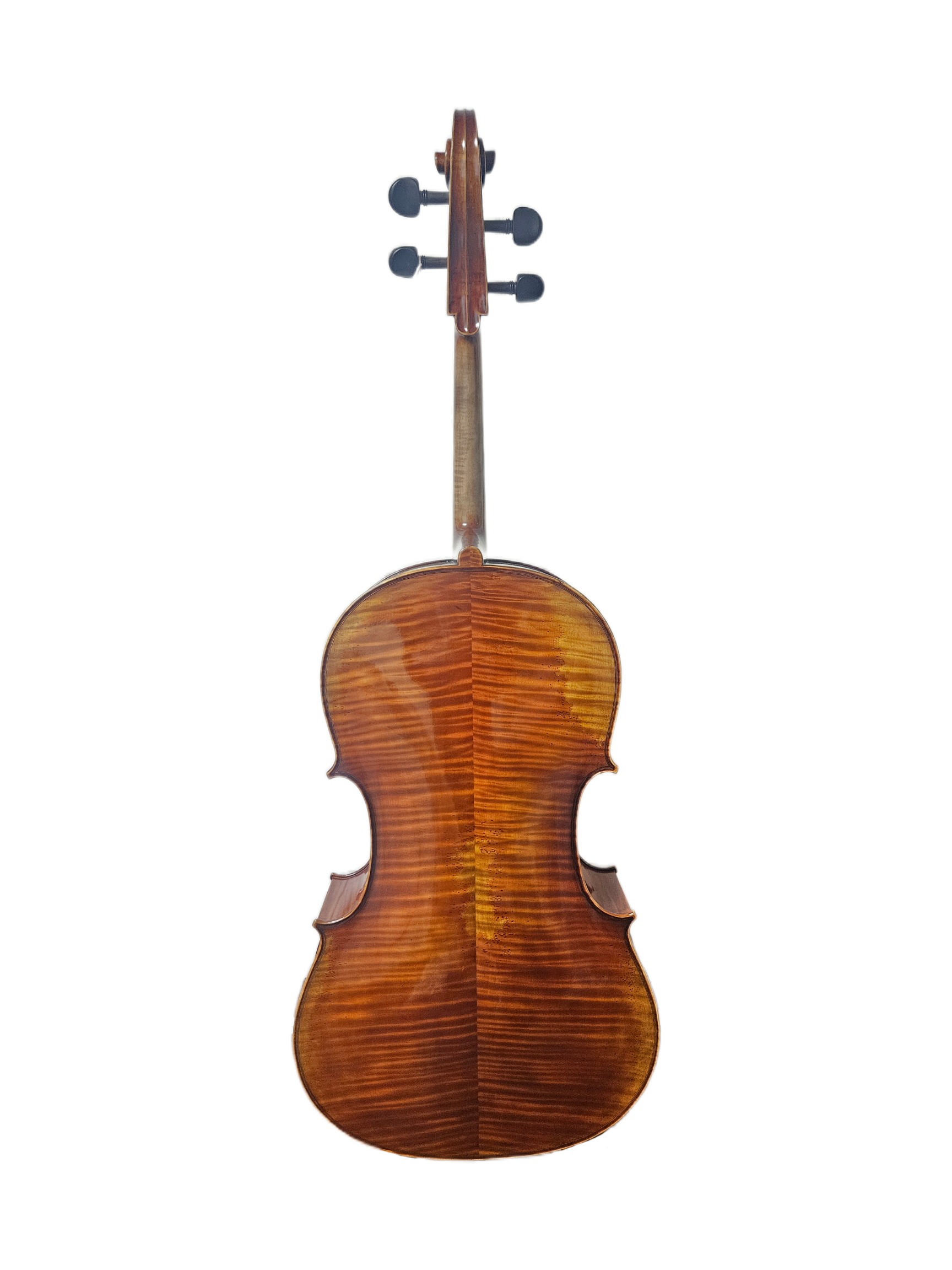 Camillo Callegari 44 Gorfriller VC Back.png