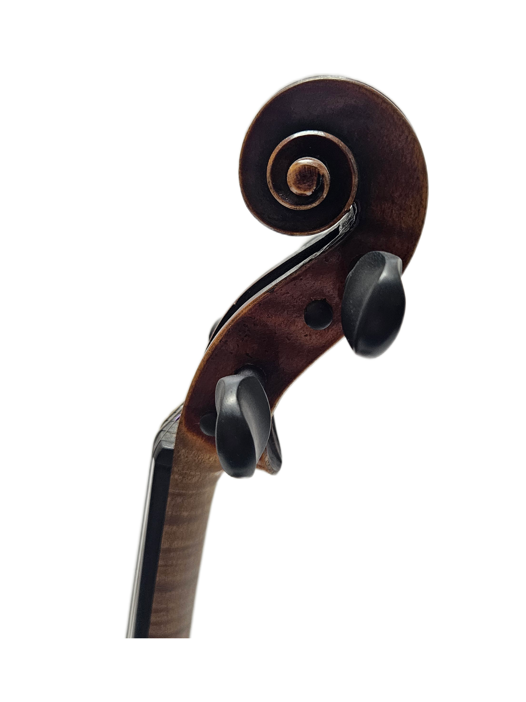 Nicholas Amatus 1890s VL Scroll.png