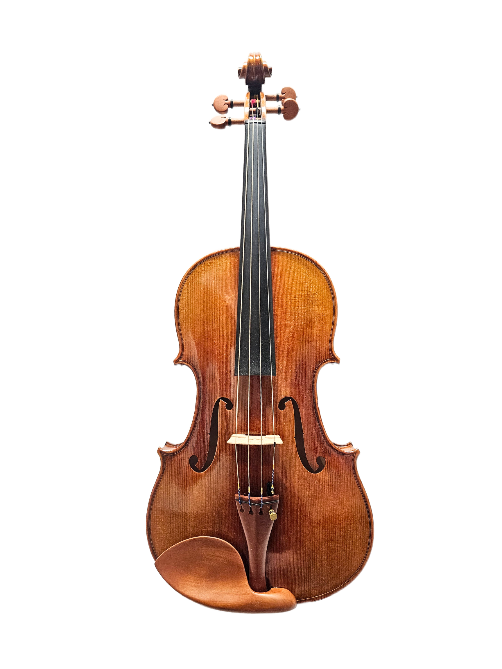 Peter Kauffman TErtis Model 15.5 VA Front.png