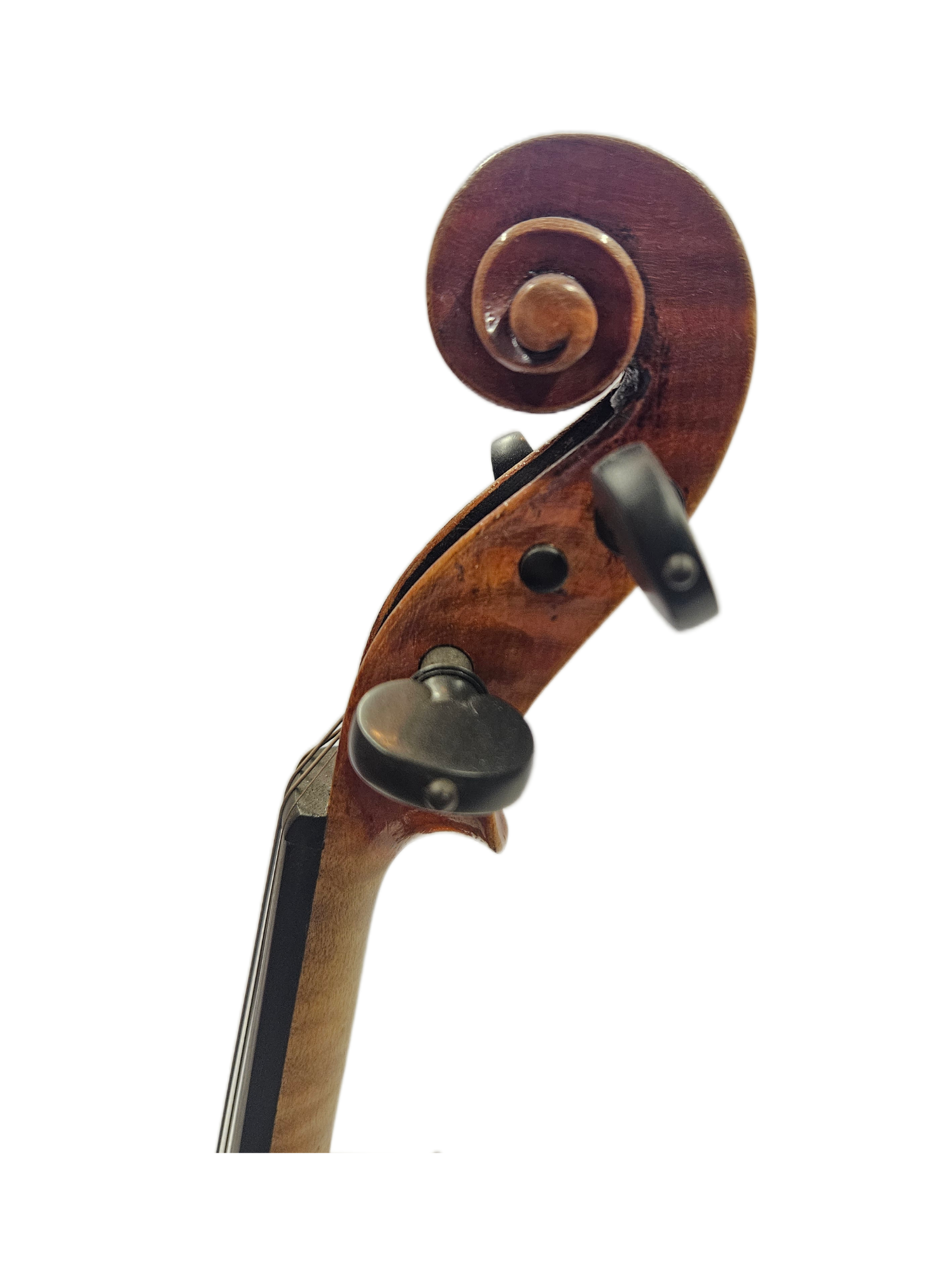 Gagliano Copy Scroll .png