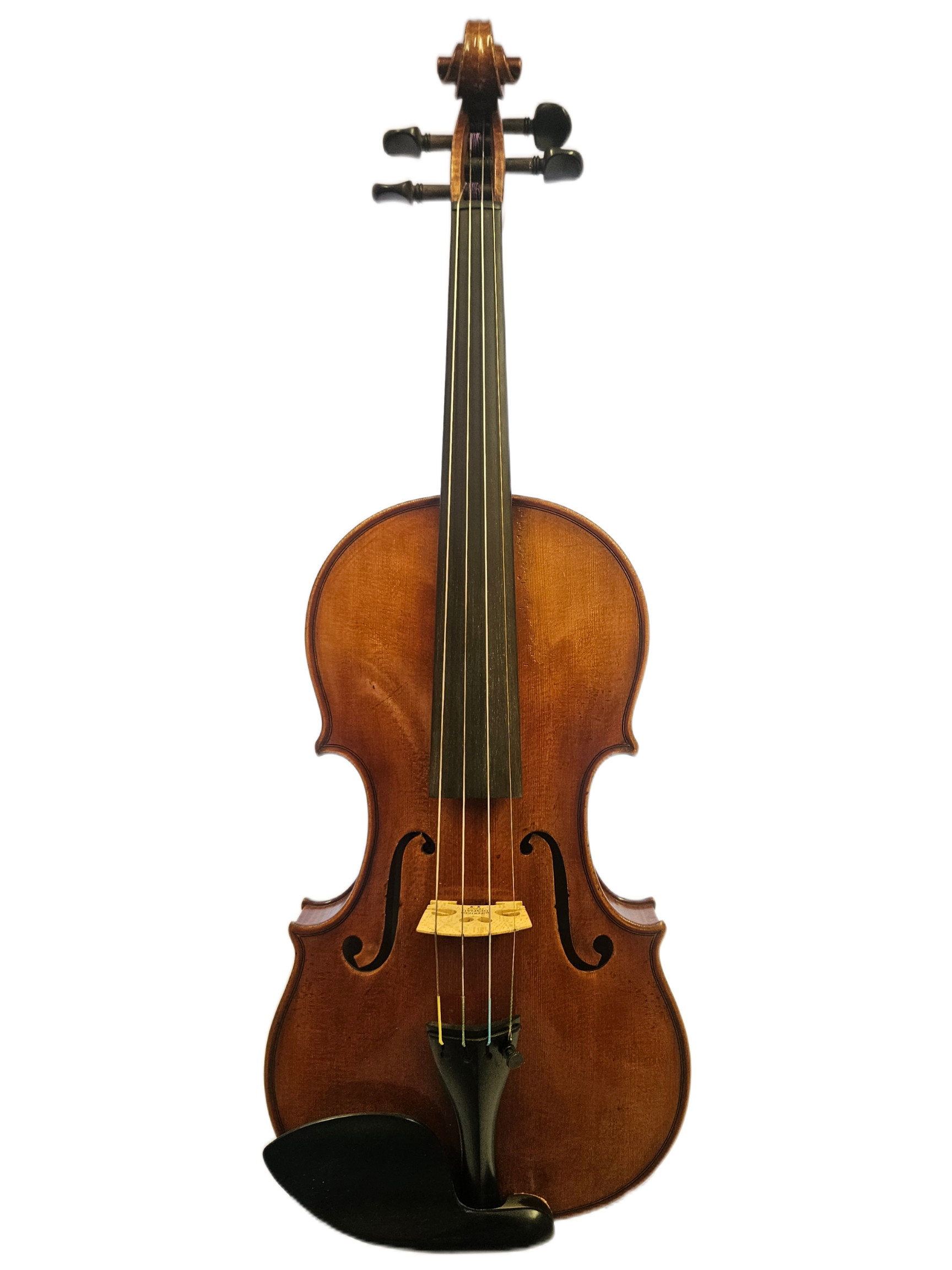Ettore Callegari Amati Model 2019 Front.png