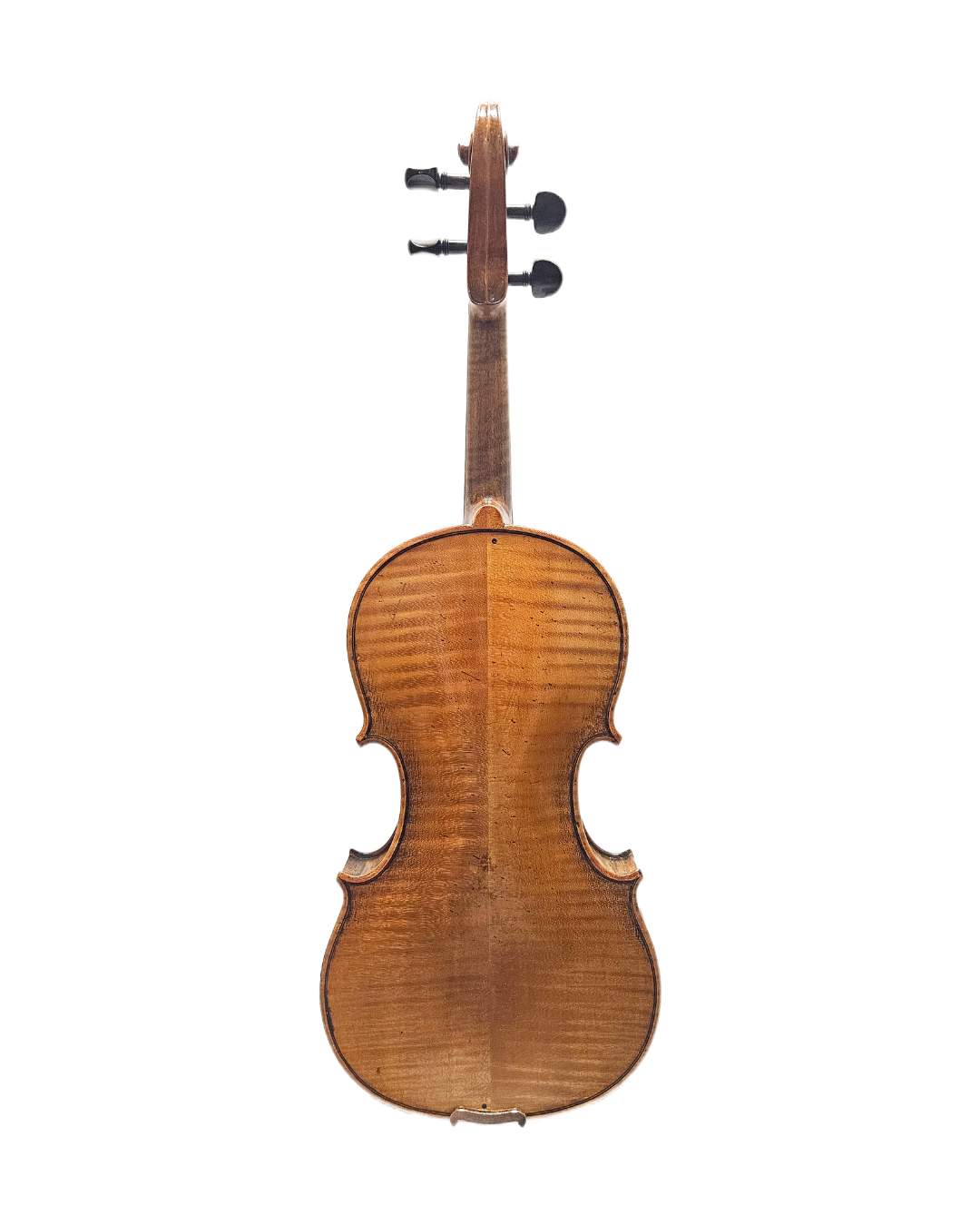 German Amati Copy VL Back.png