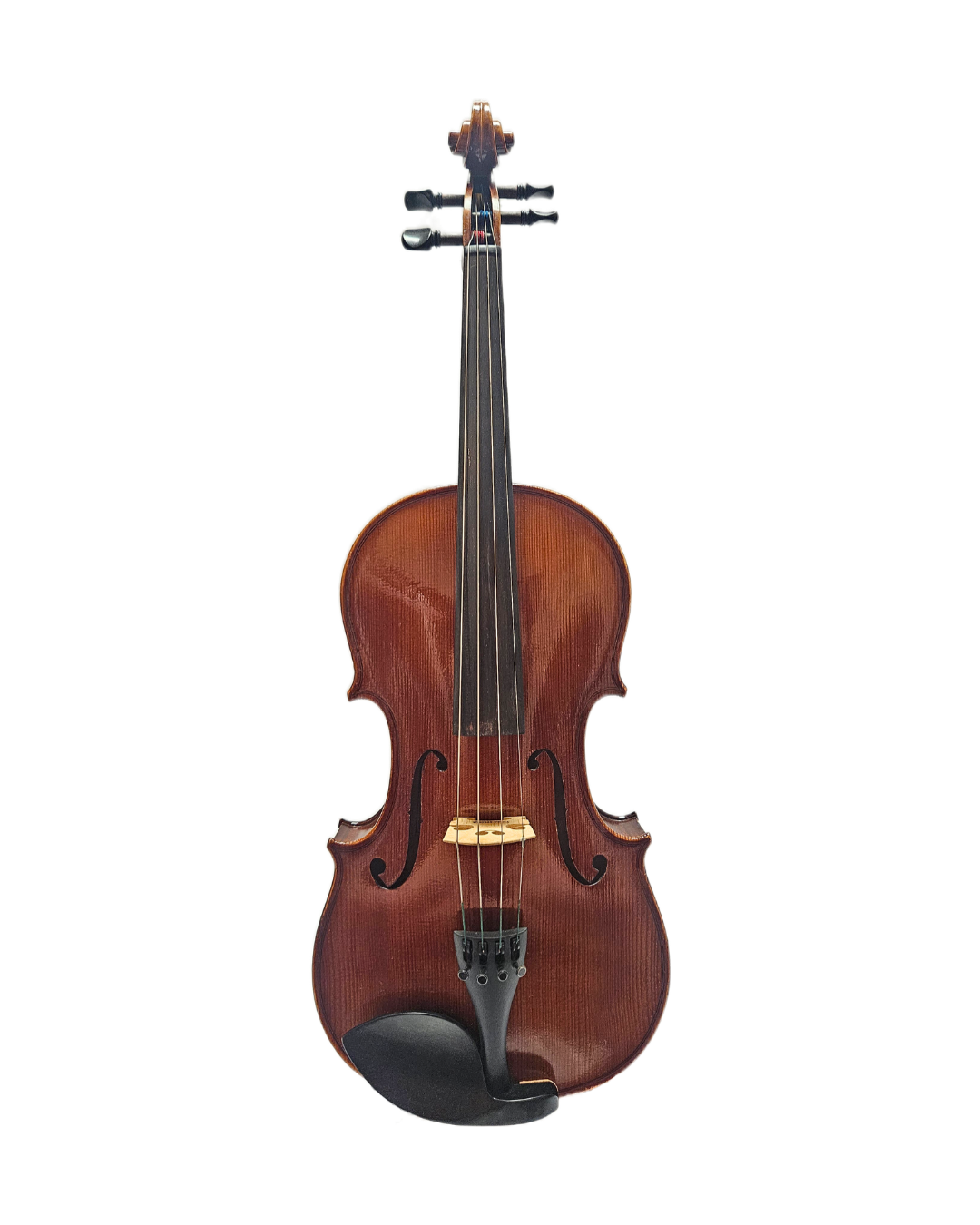 Roderich Paesold 16_ VA Front.png