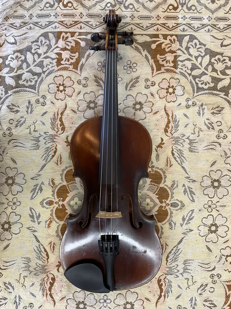 弦楽器 OTOLIER MODELLI CONTROLATTIA4/4ovn02-016 弦楽器 OTOLIER MODELLI CONTROLATTIA4/4ovn02-016 弦楽器 OTOLIER