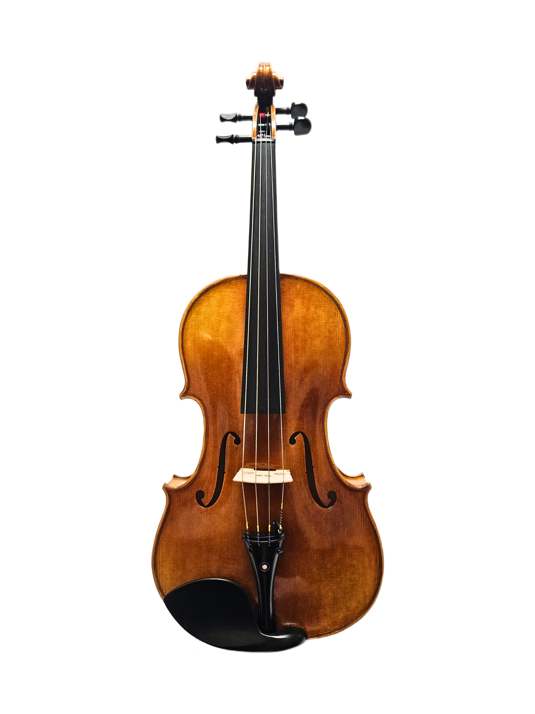 Paolo Lorenzo 15 Tertis Model VA Front.png