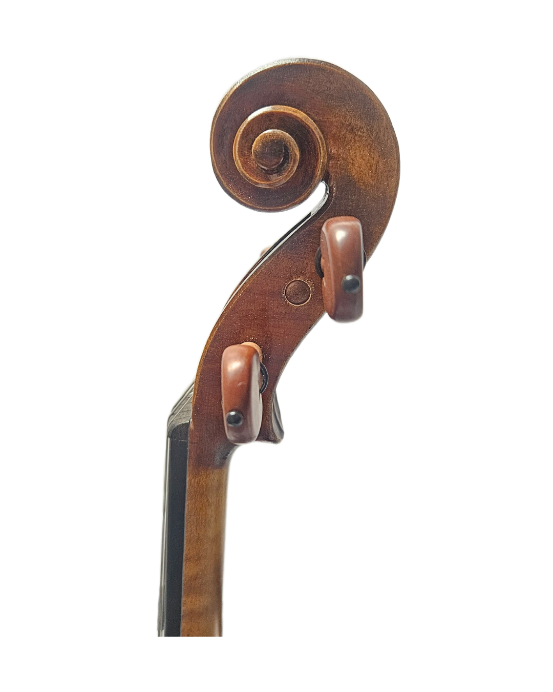 Cedar Music Model C VL Scroll.png