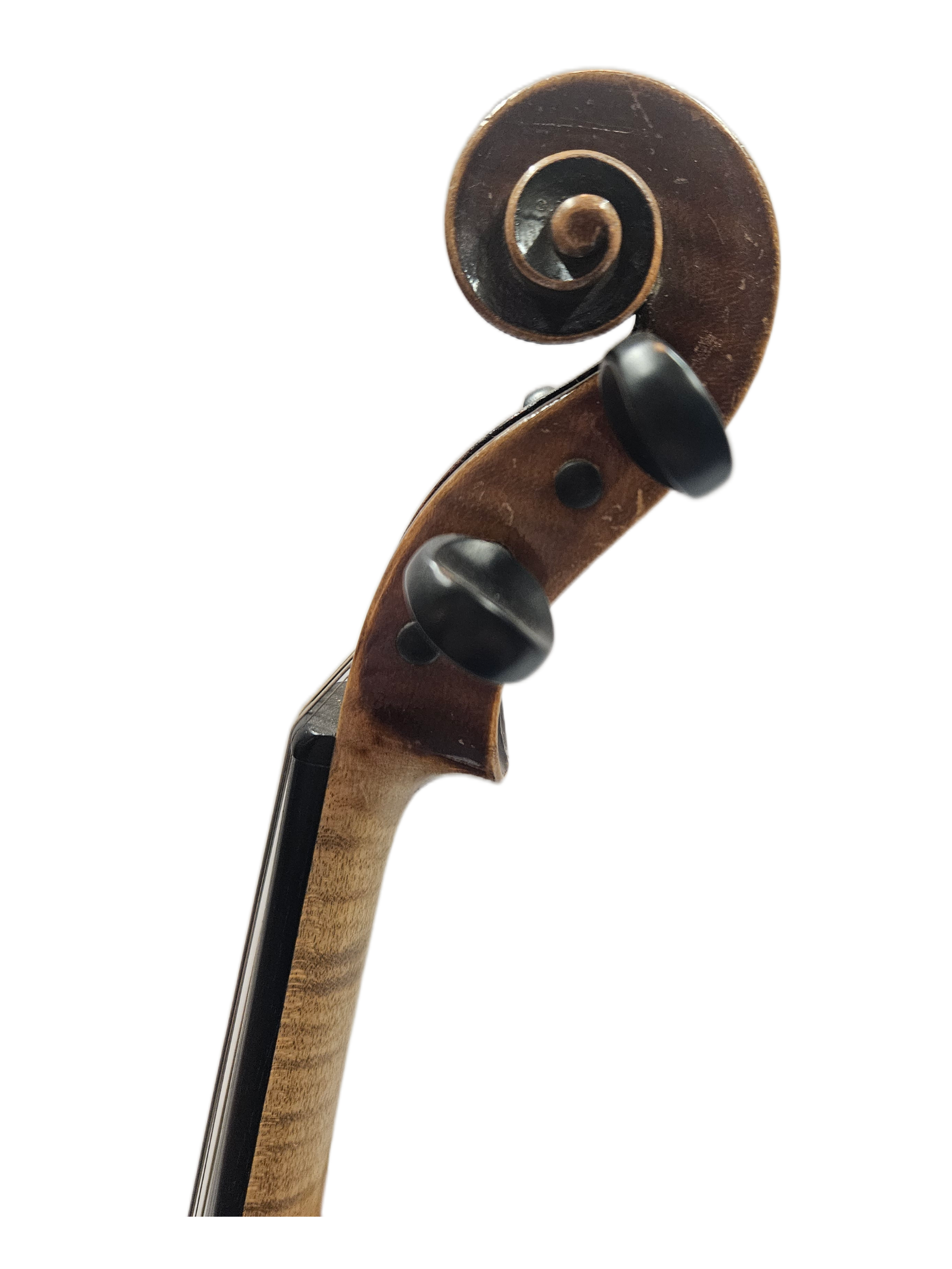 Adler Strad Copy Scroll.png