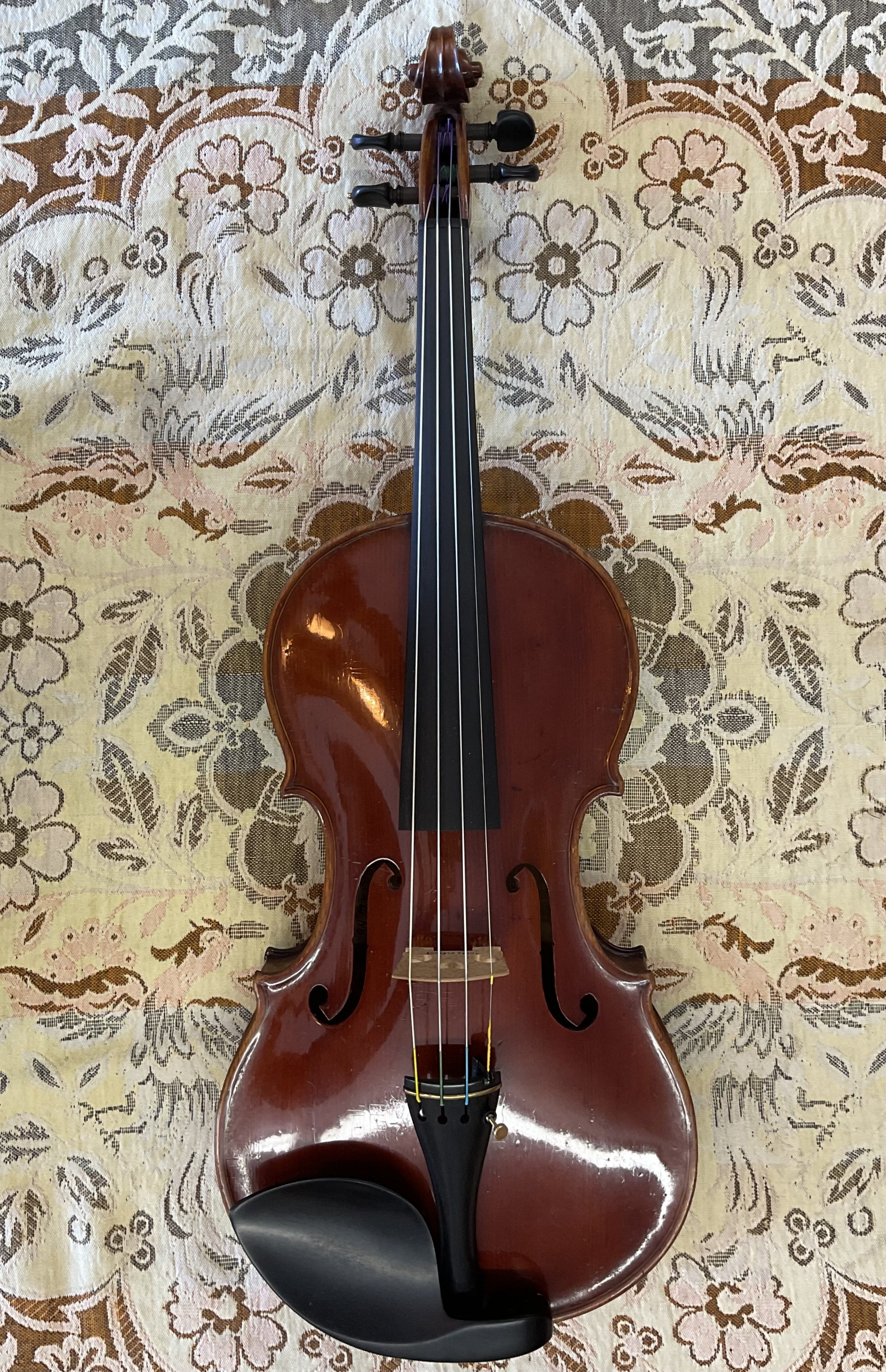 wilkarowski violin.jpeg