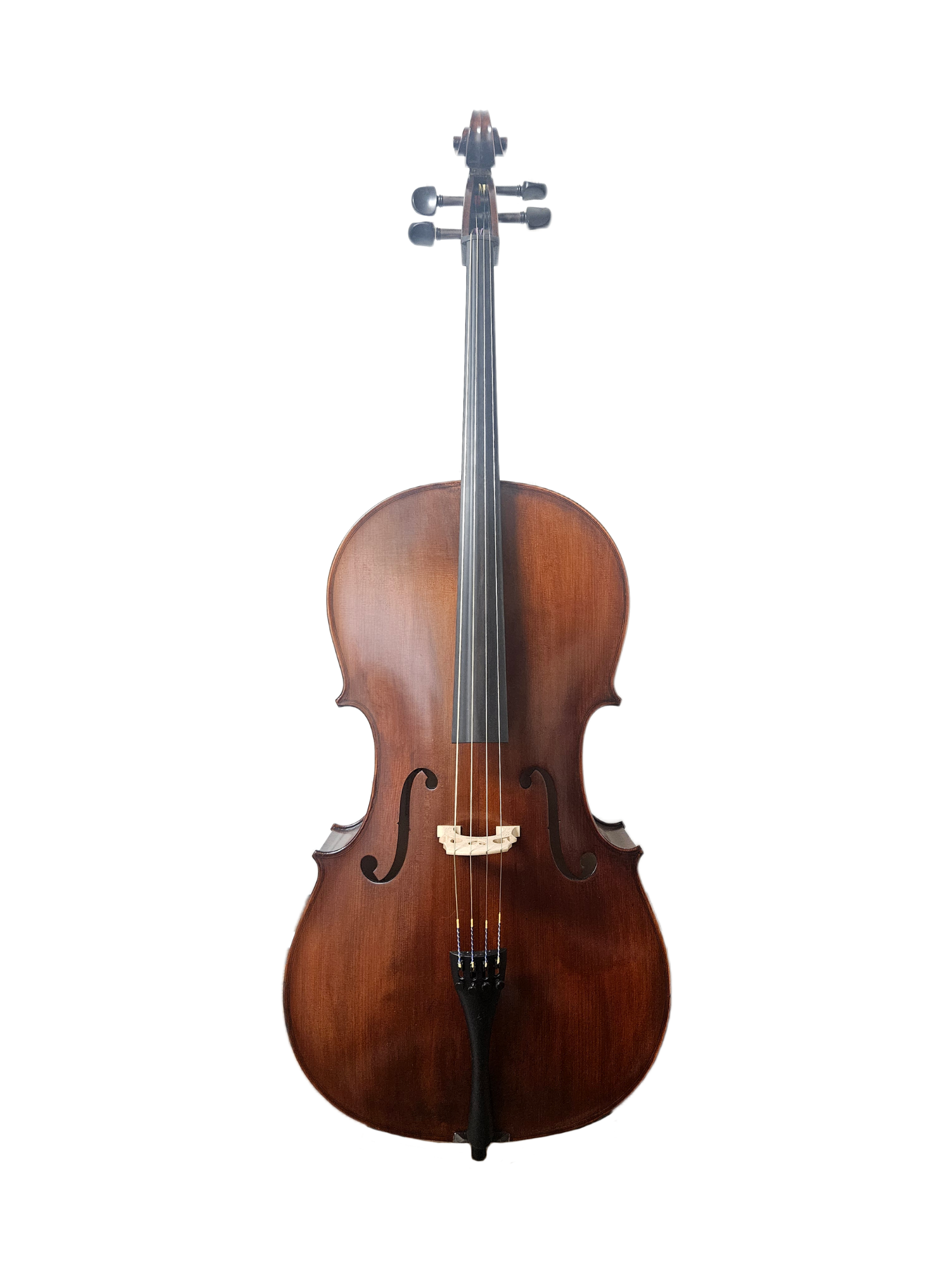 Eastman Model 95 Cello Outfit