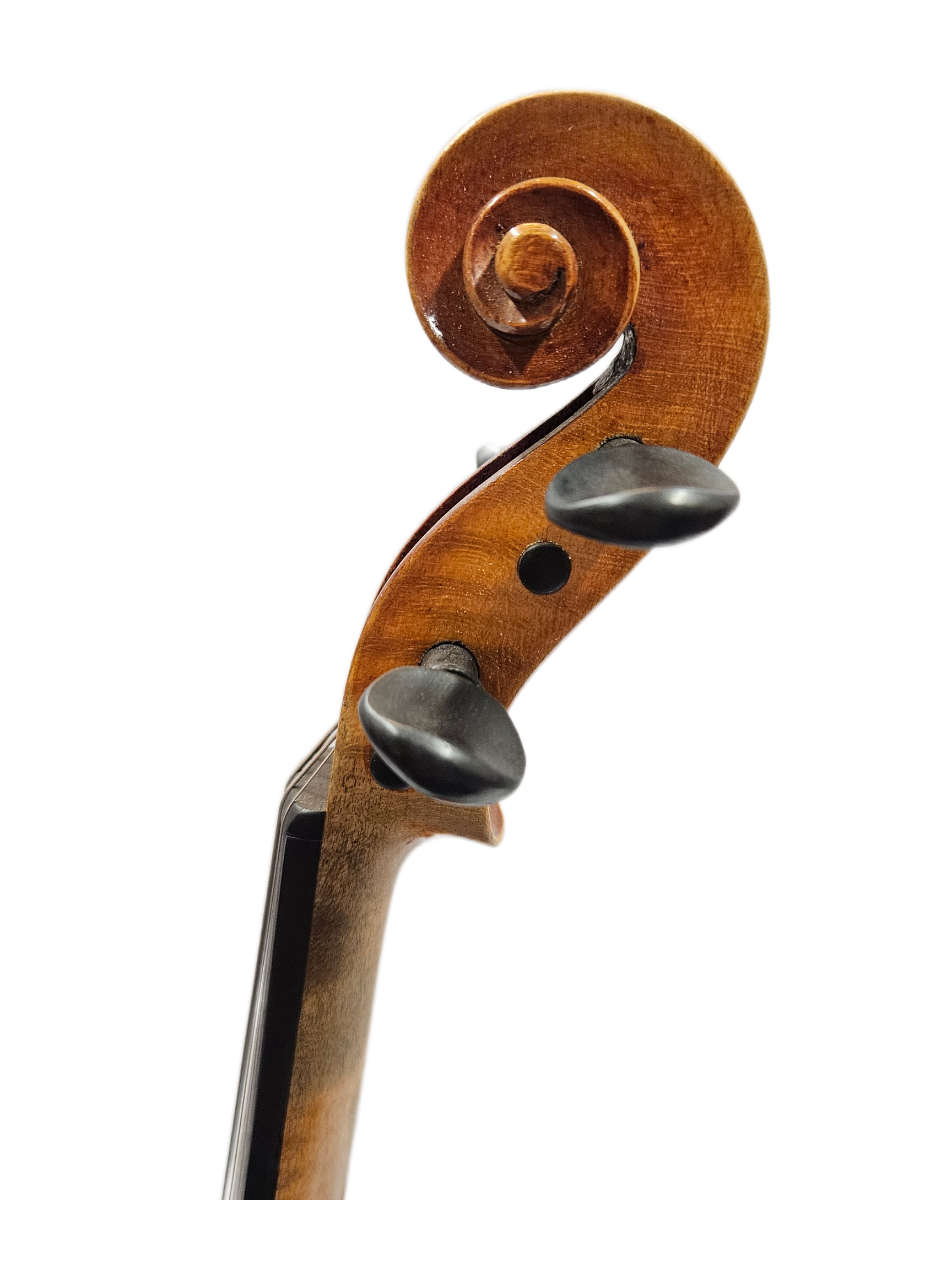 Hornsteiner Copy Scroll.png