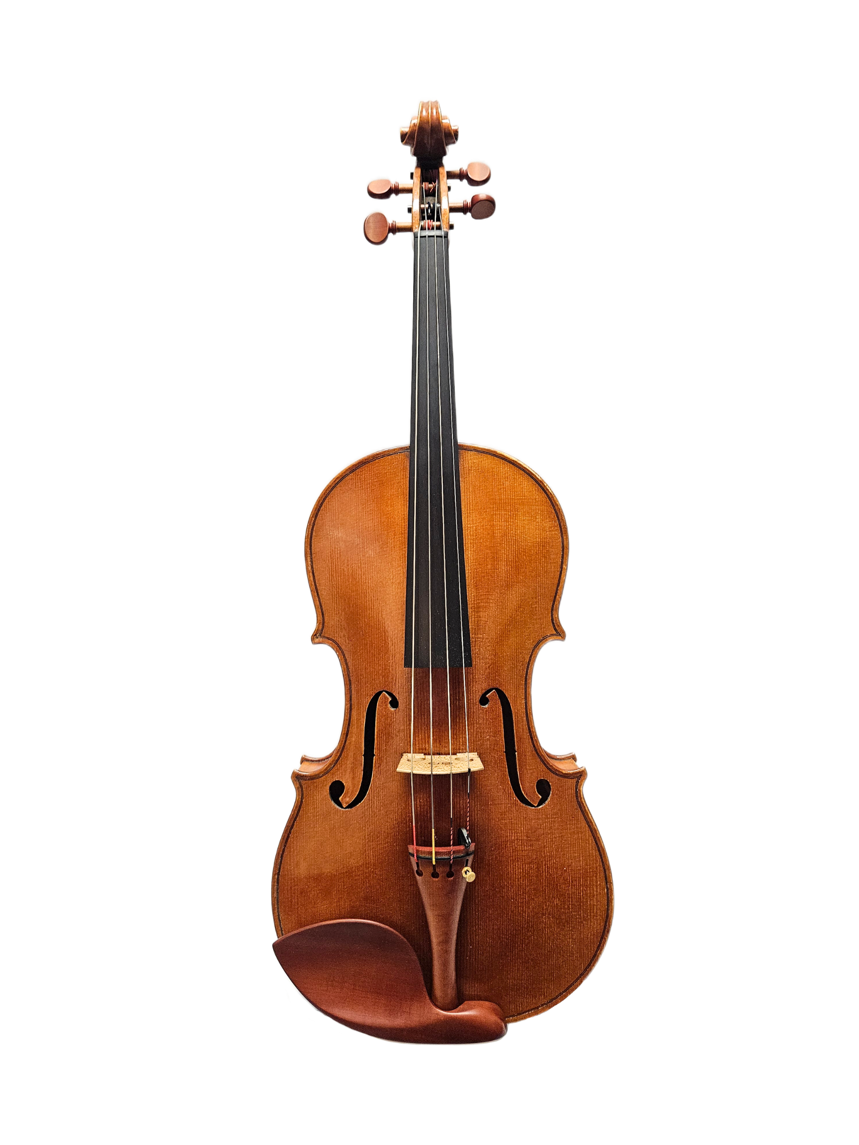 16 Catalin Quercinola VA Front.png