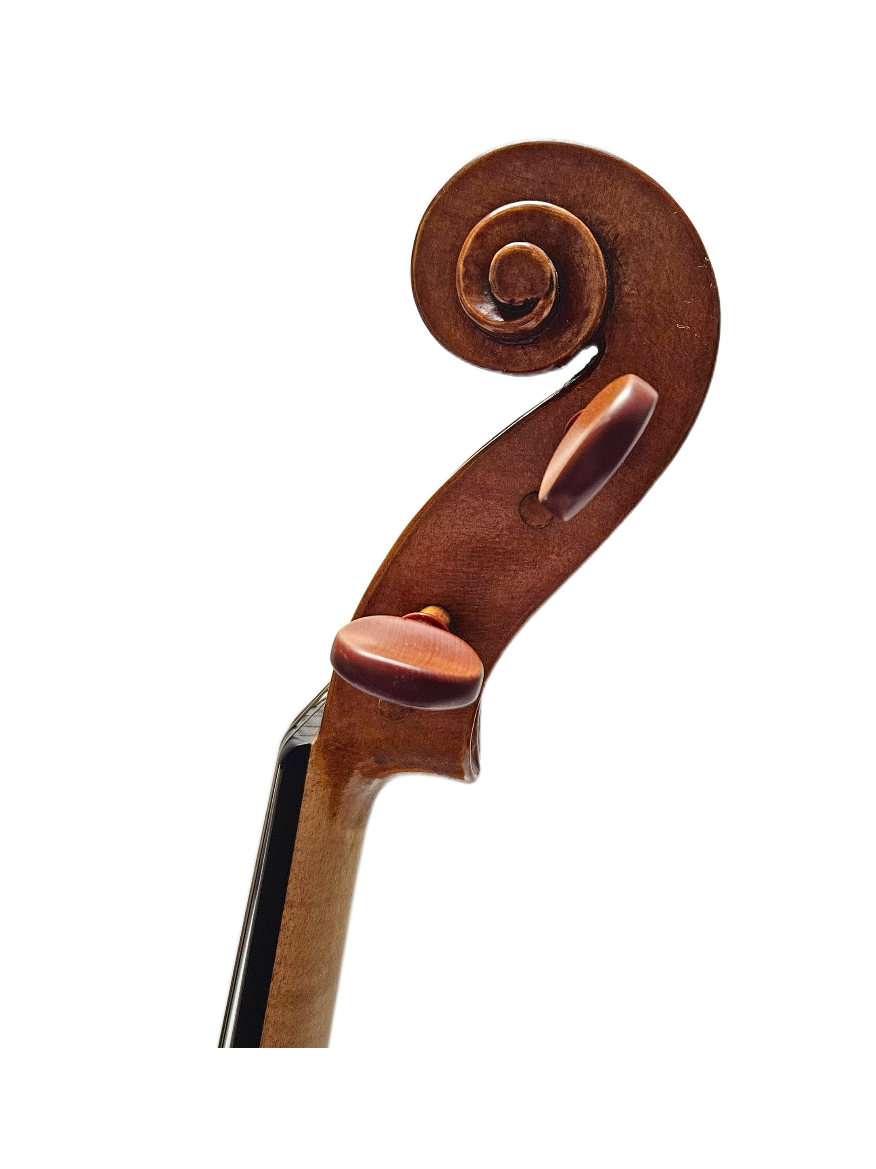 16 Catalin Quercinola VA Scroll.png