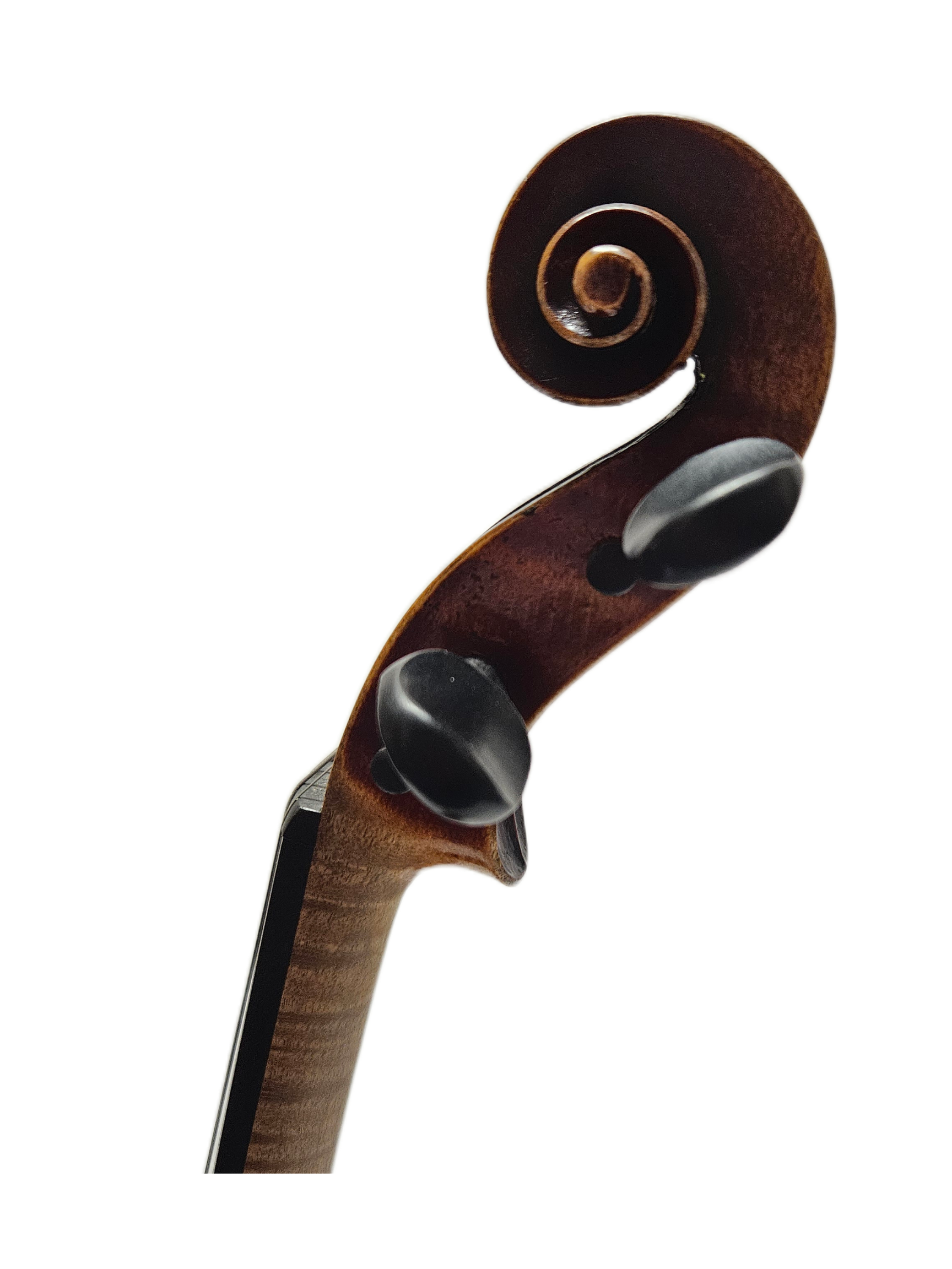 1890 Nicolas Amatus New Scroll.png