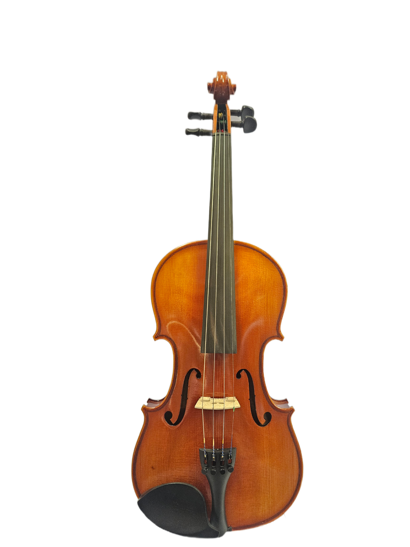 Eastman Violin - Model 100 Student Outfit