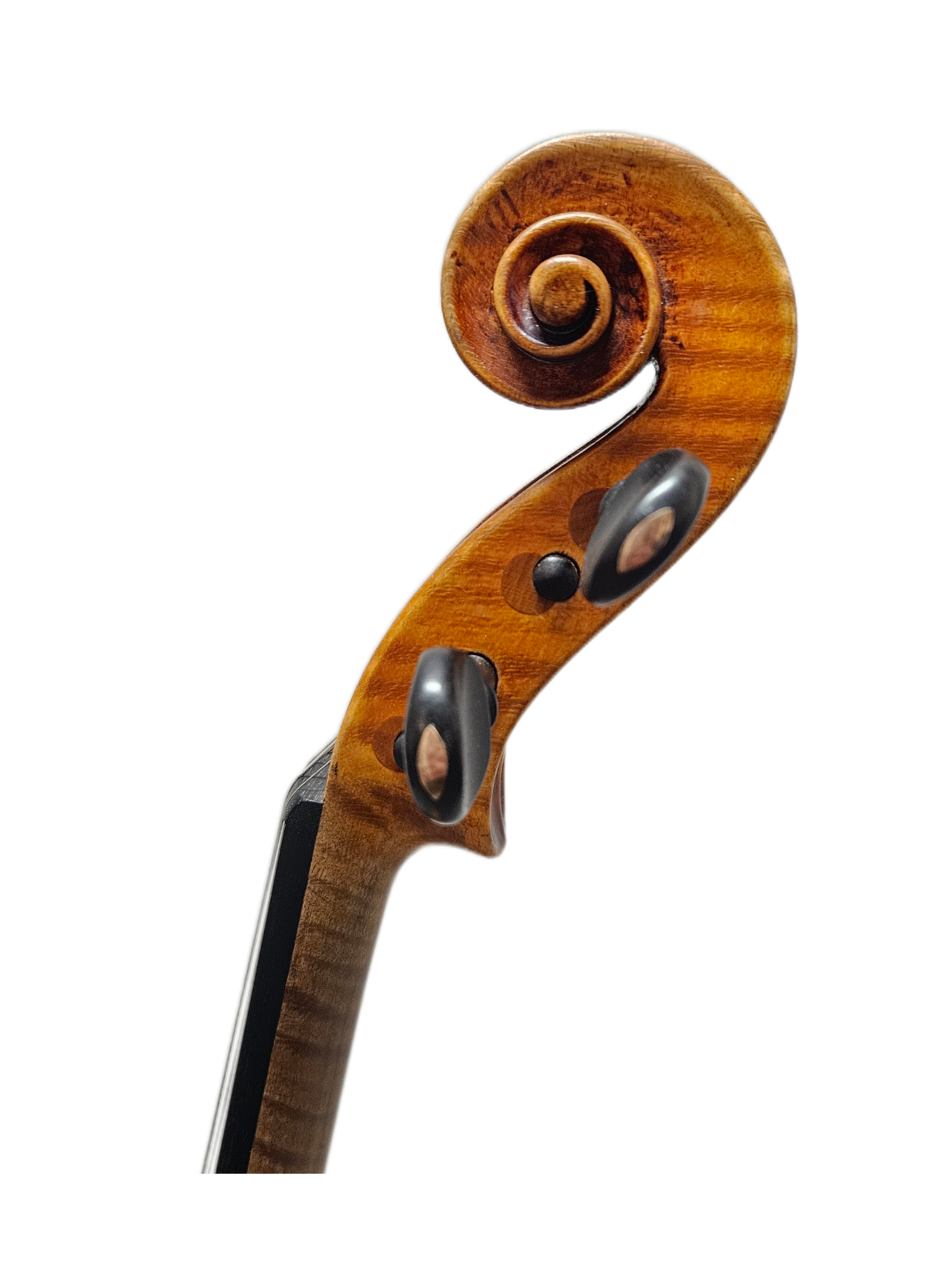 Earls New Scroll VL.png