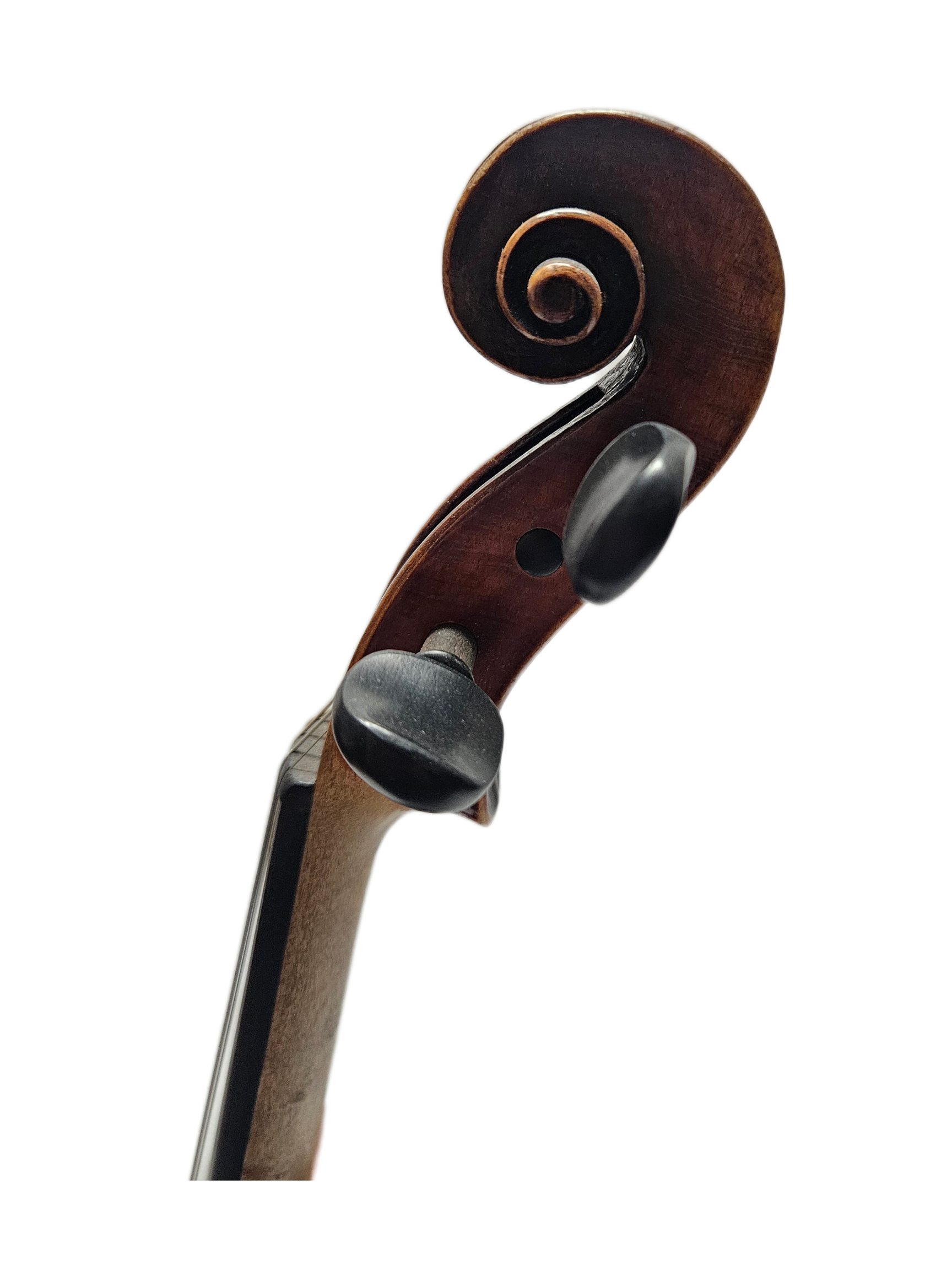 E Martin German Strad Copy VL Scroll.png