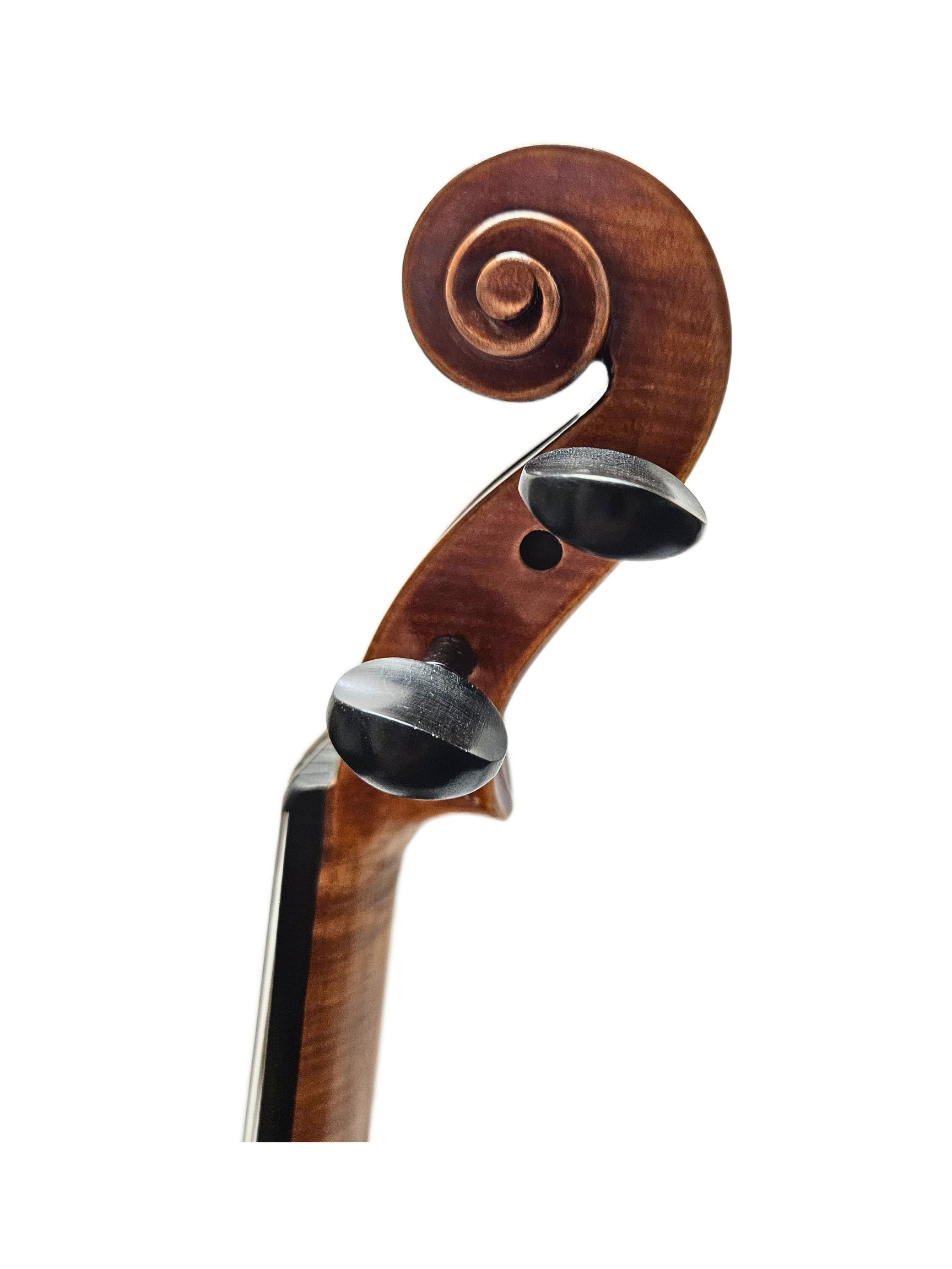 Paolo Lorenzo 15 Tertis Model VA Scroll.png