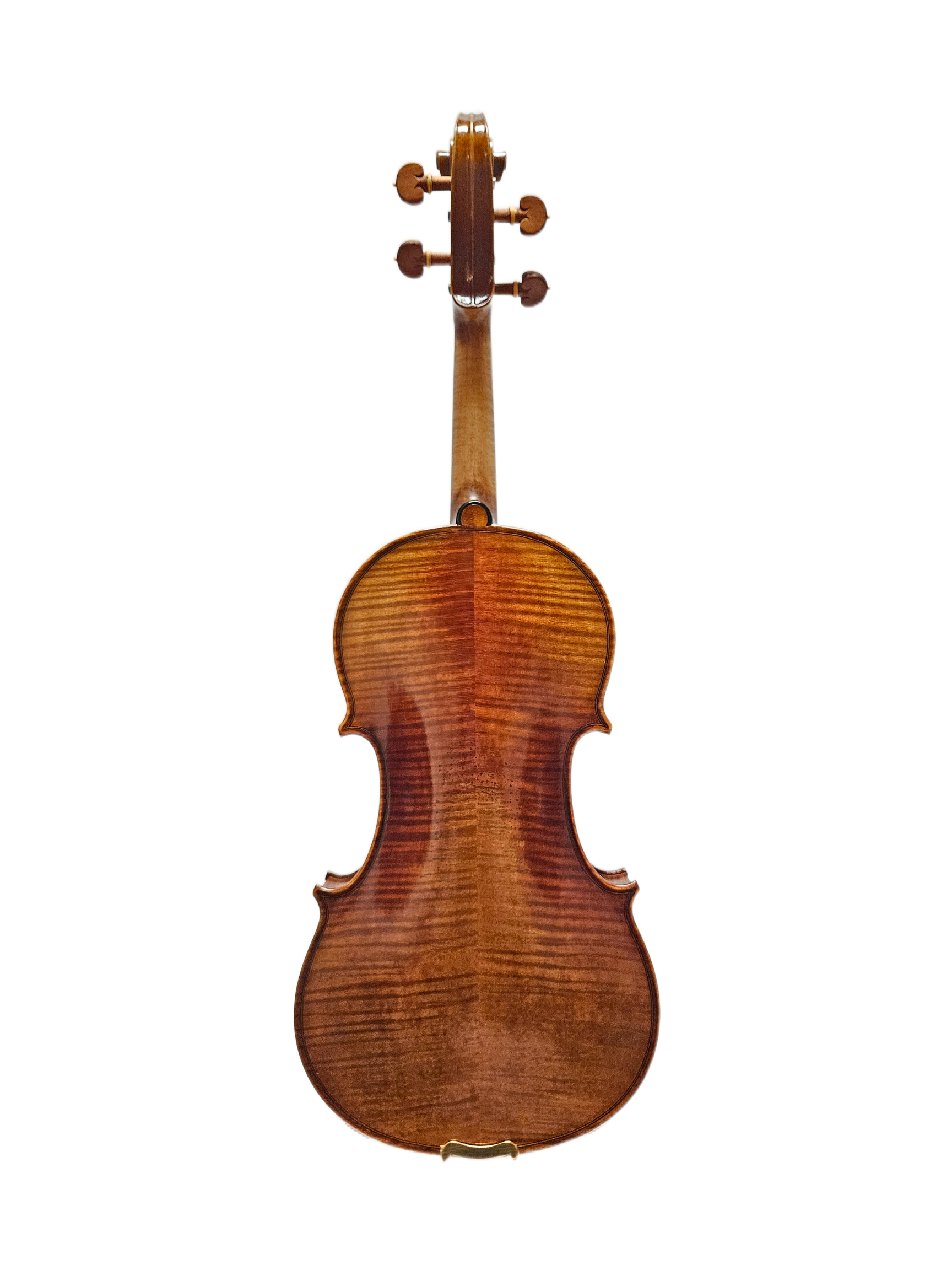 Sandro Luciano Heifetz 1740 VL Back.png