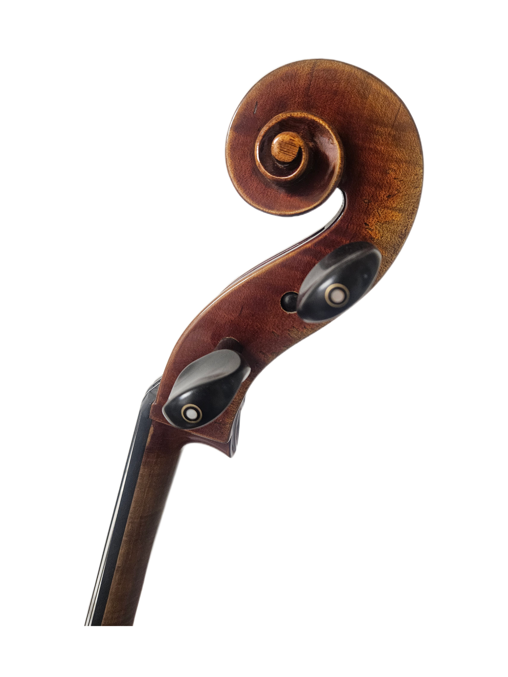 Camillo Callegari 44 Gorfriller VC Scroll.png