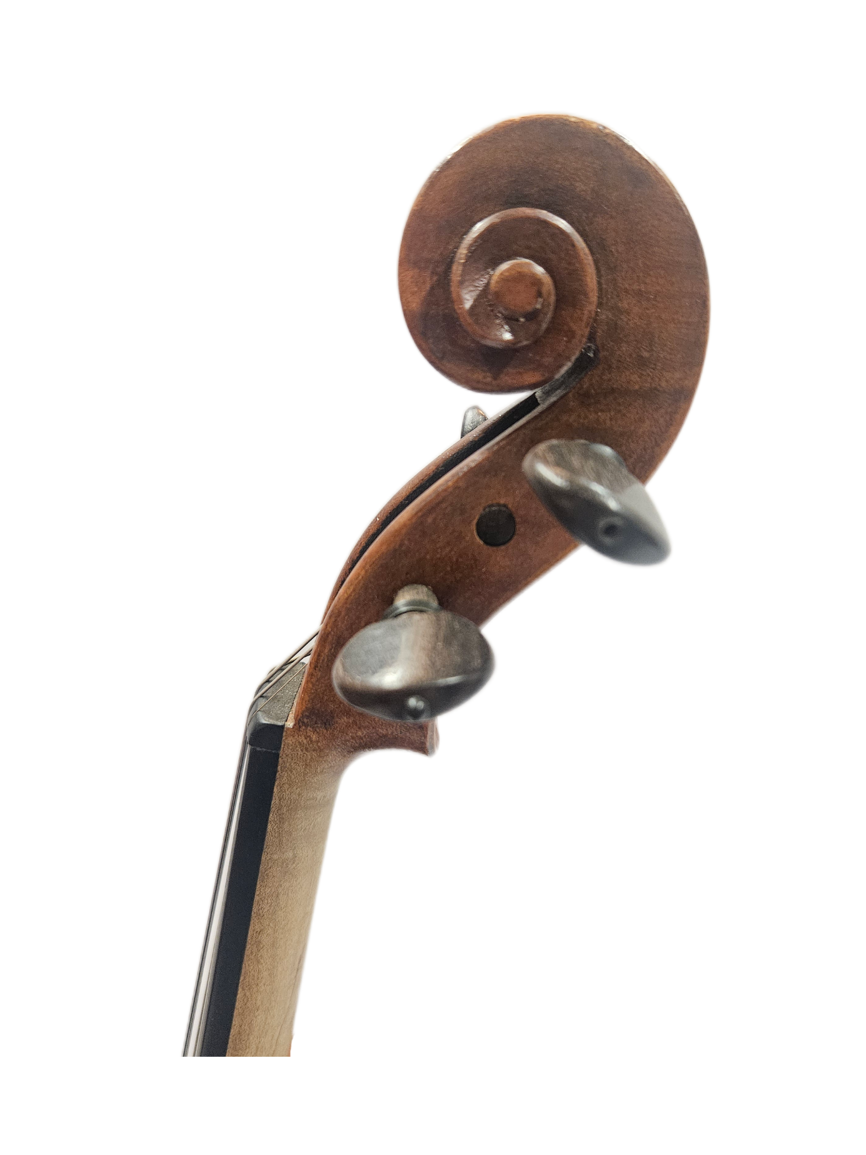 Cantus Dubois 2012 VL Scroll.png
