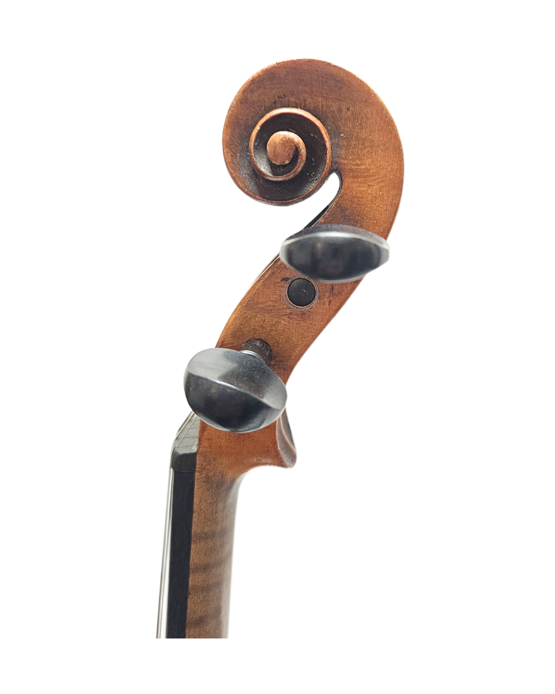 German Amati Copy VL Scroll.png