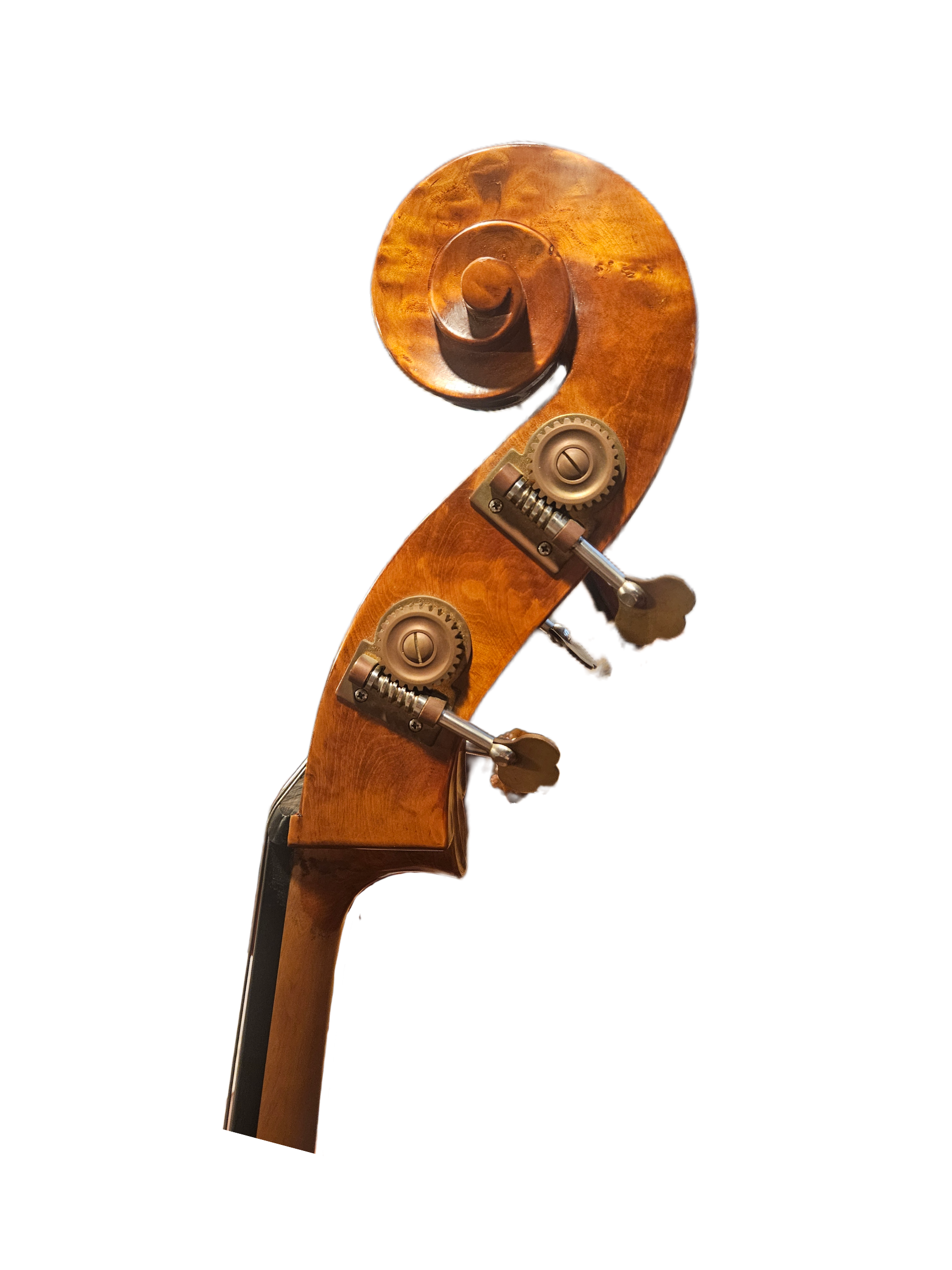 Shen SB88 34 Bass Scroll.png