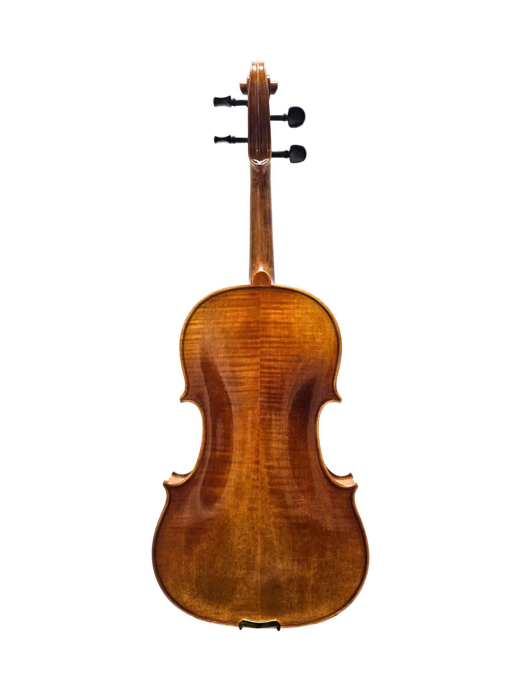 Paolo Lorenzo 15 Tertis Model VA Back.png