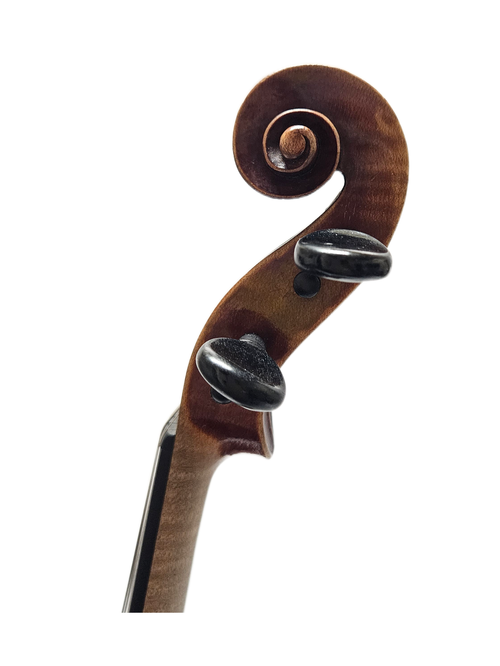 Bachmann Early 1900s Leipzig VL Scroll.png