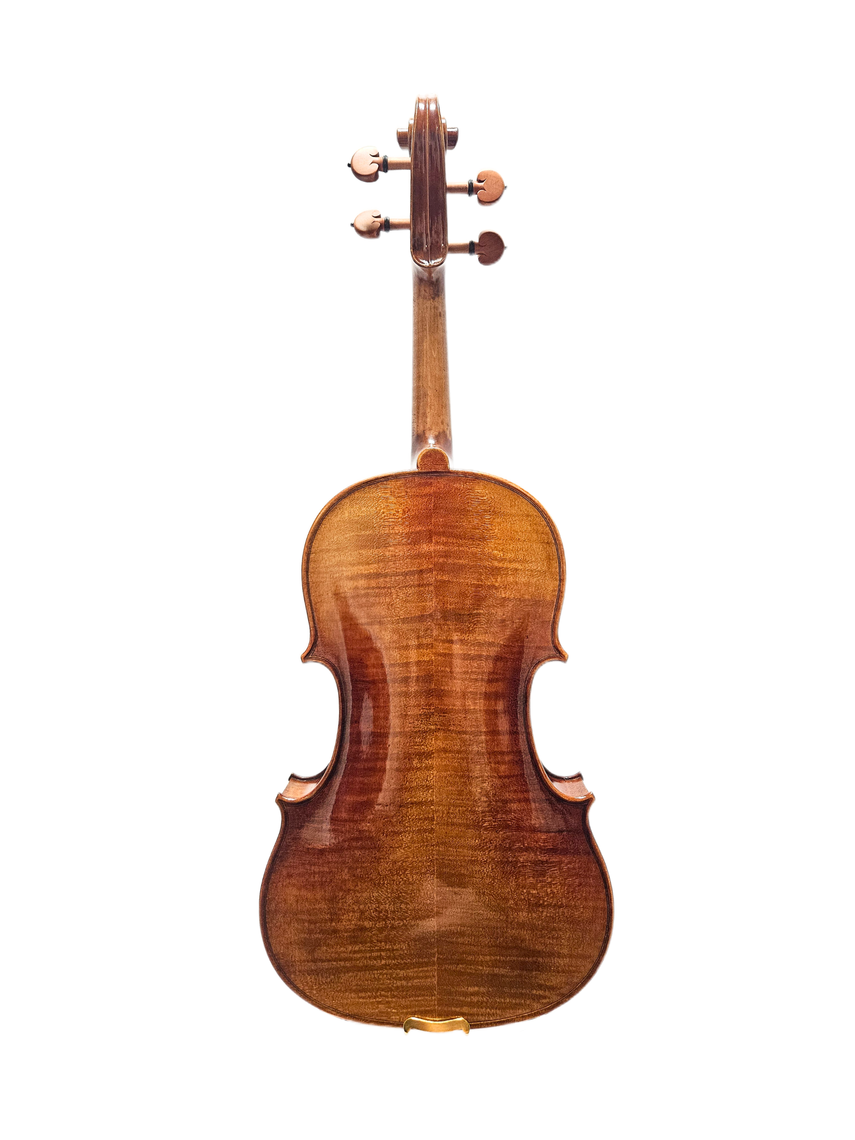 Peter Kauffman TErtis Model 15.5 VA Back.png