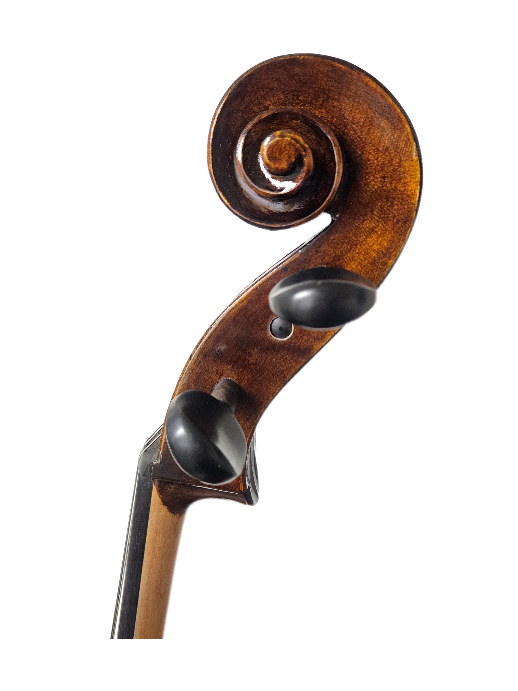 EM 305 44 Cello Scroll.png