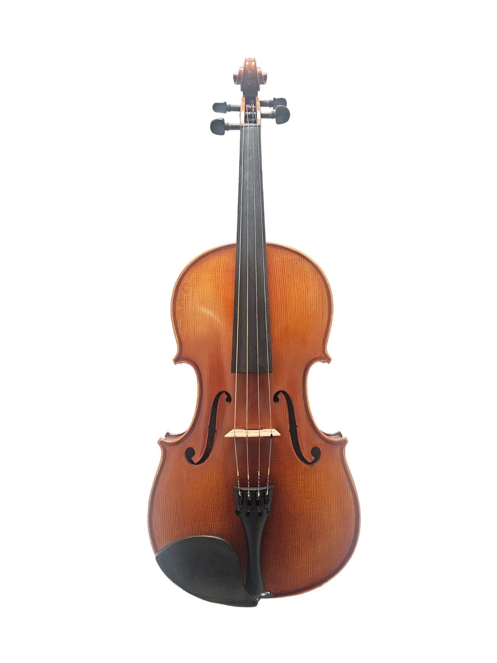 14-16.5" Eastman Model 100 Viola Outfit