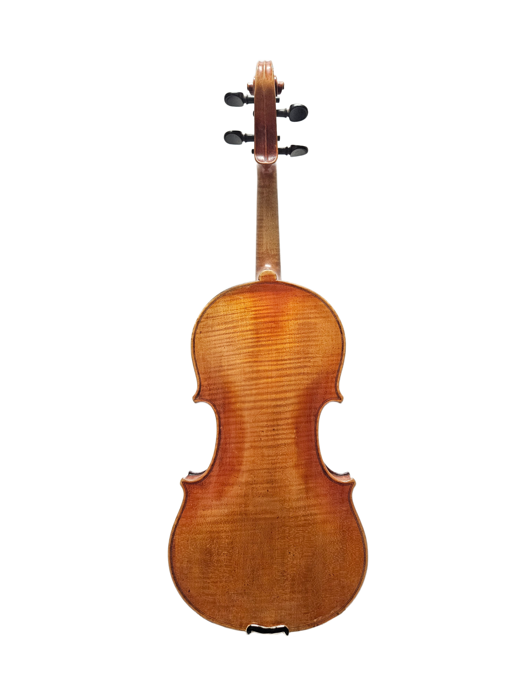 Carlo Alberti Amati VL Back.png