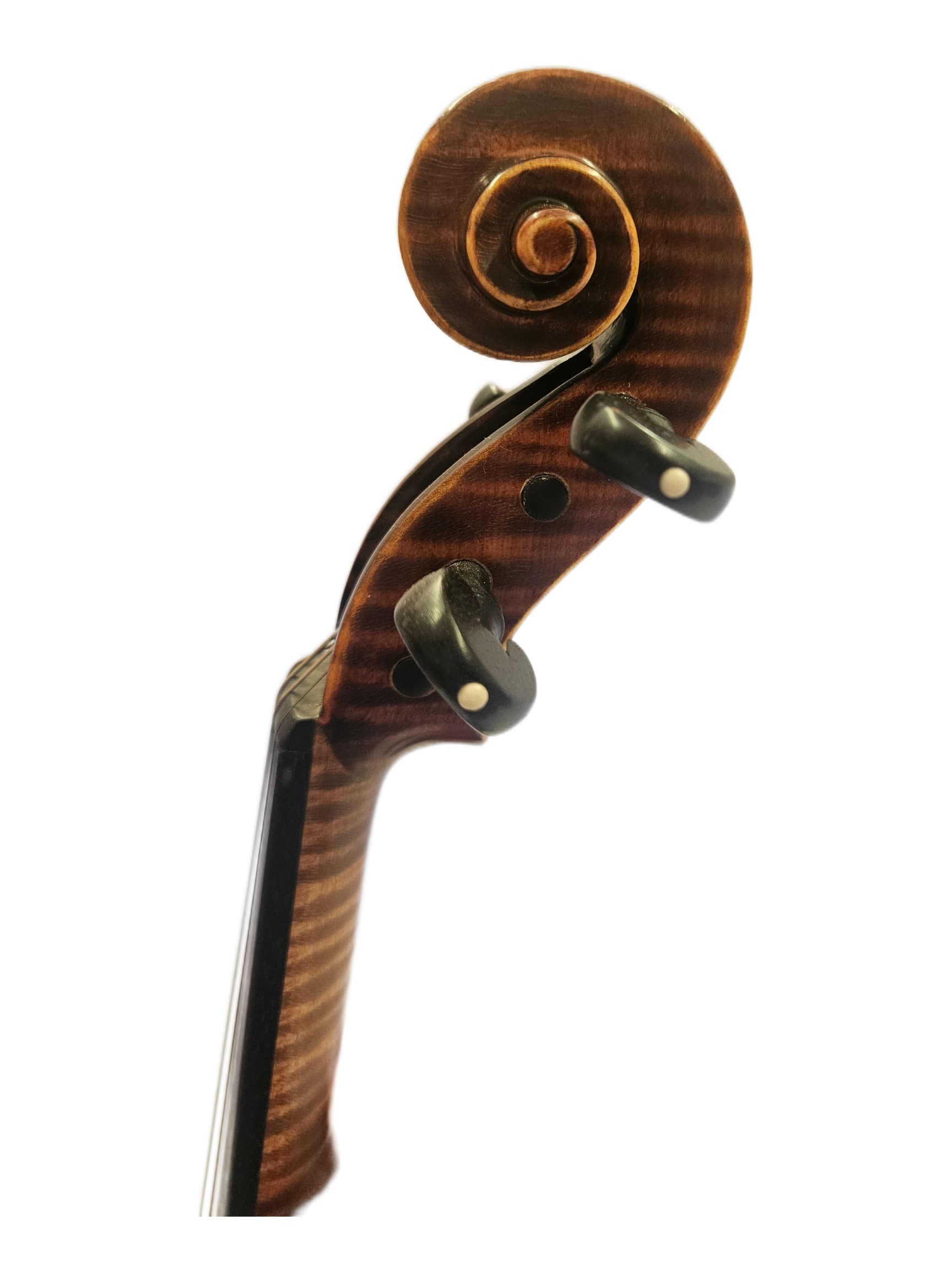 78 Gliga Vasile Scroll.png