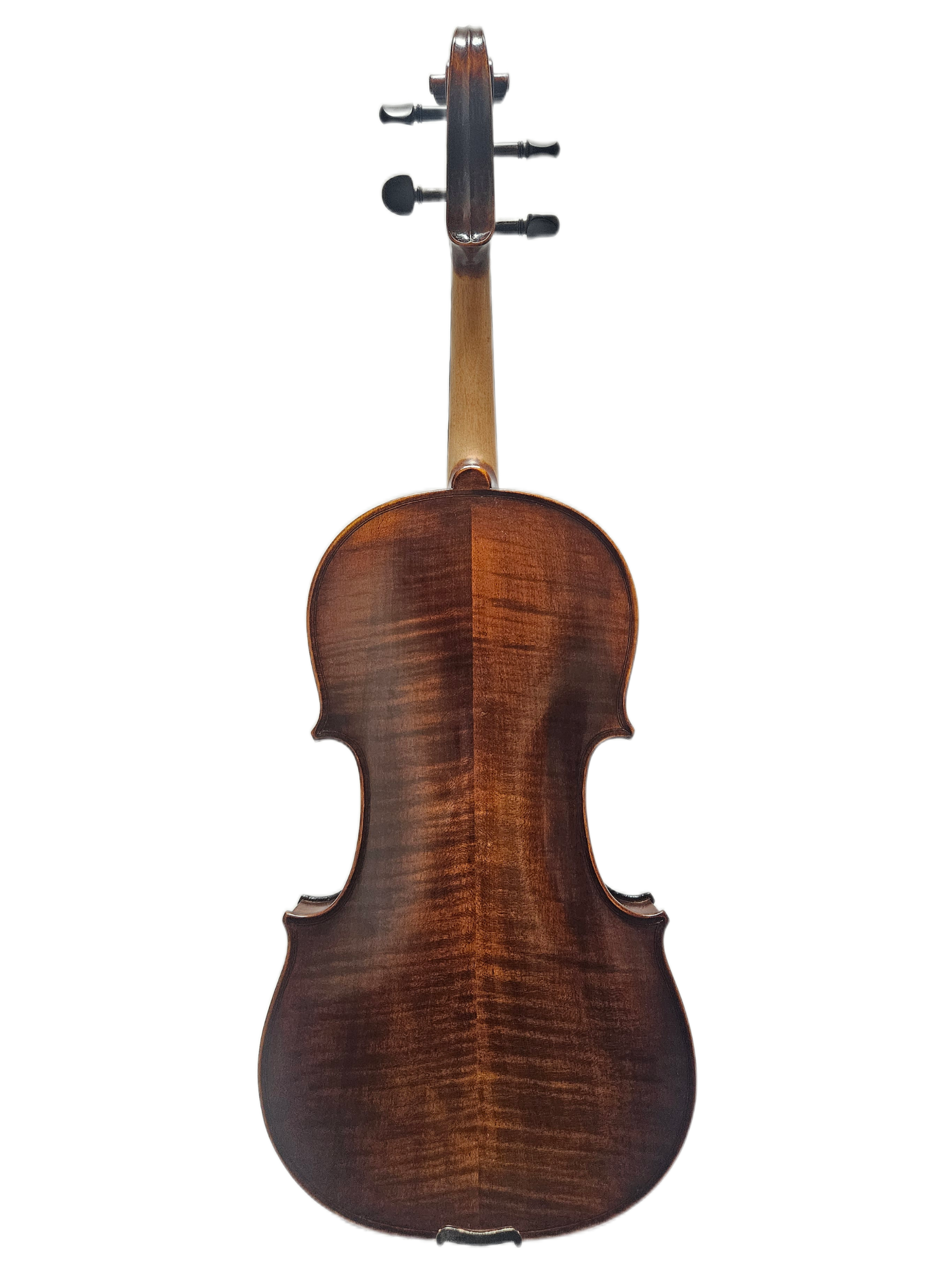 16 EM305 VA Back.png