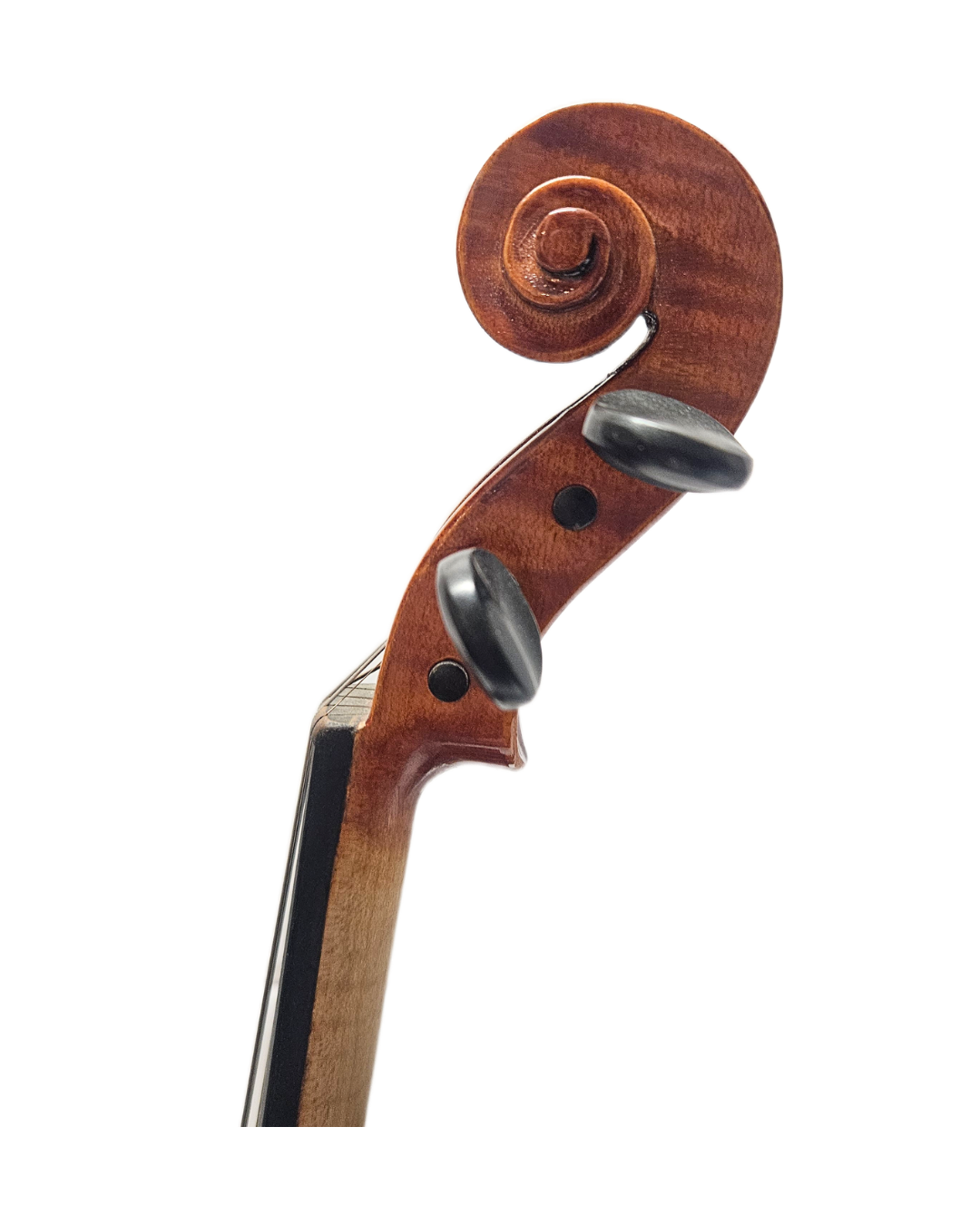 Juzek Model 100 VL Scroll.png