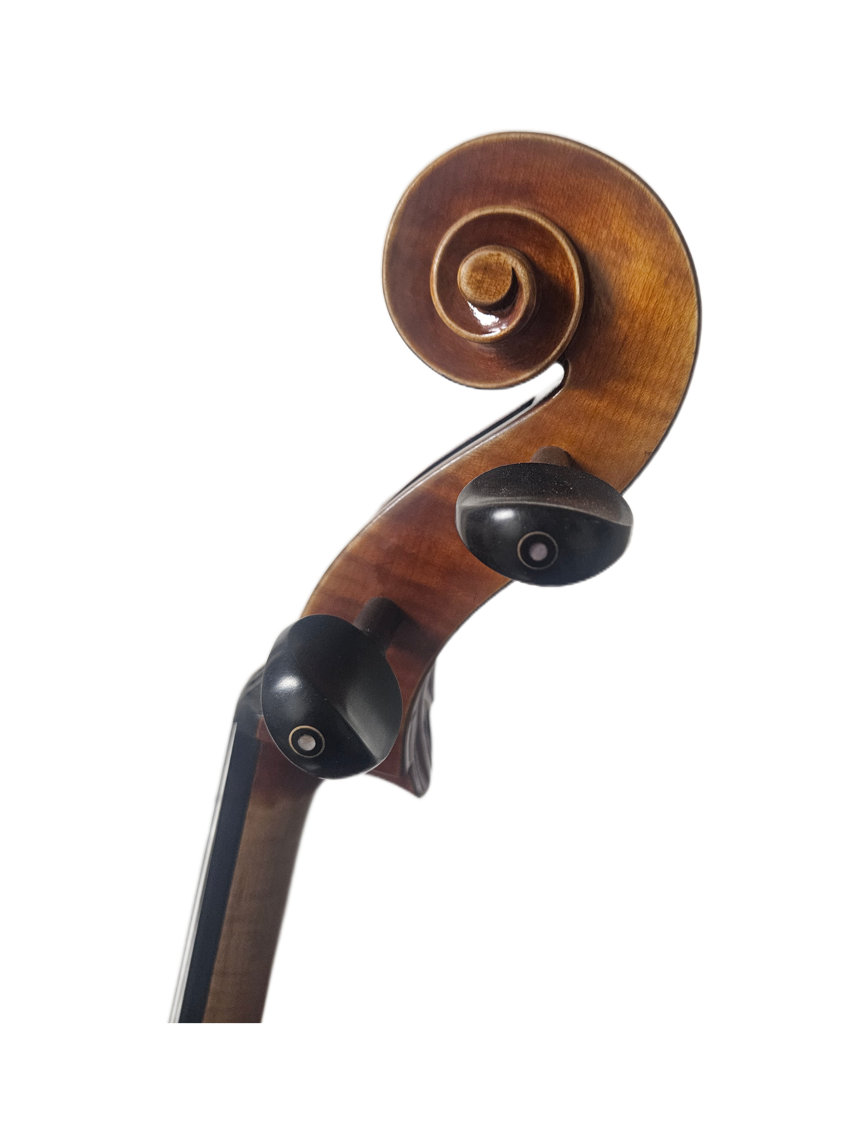 Paolo Lorenzo VC Scroll.png