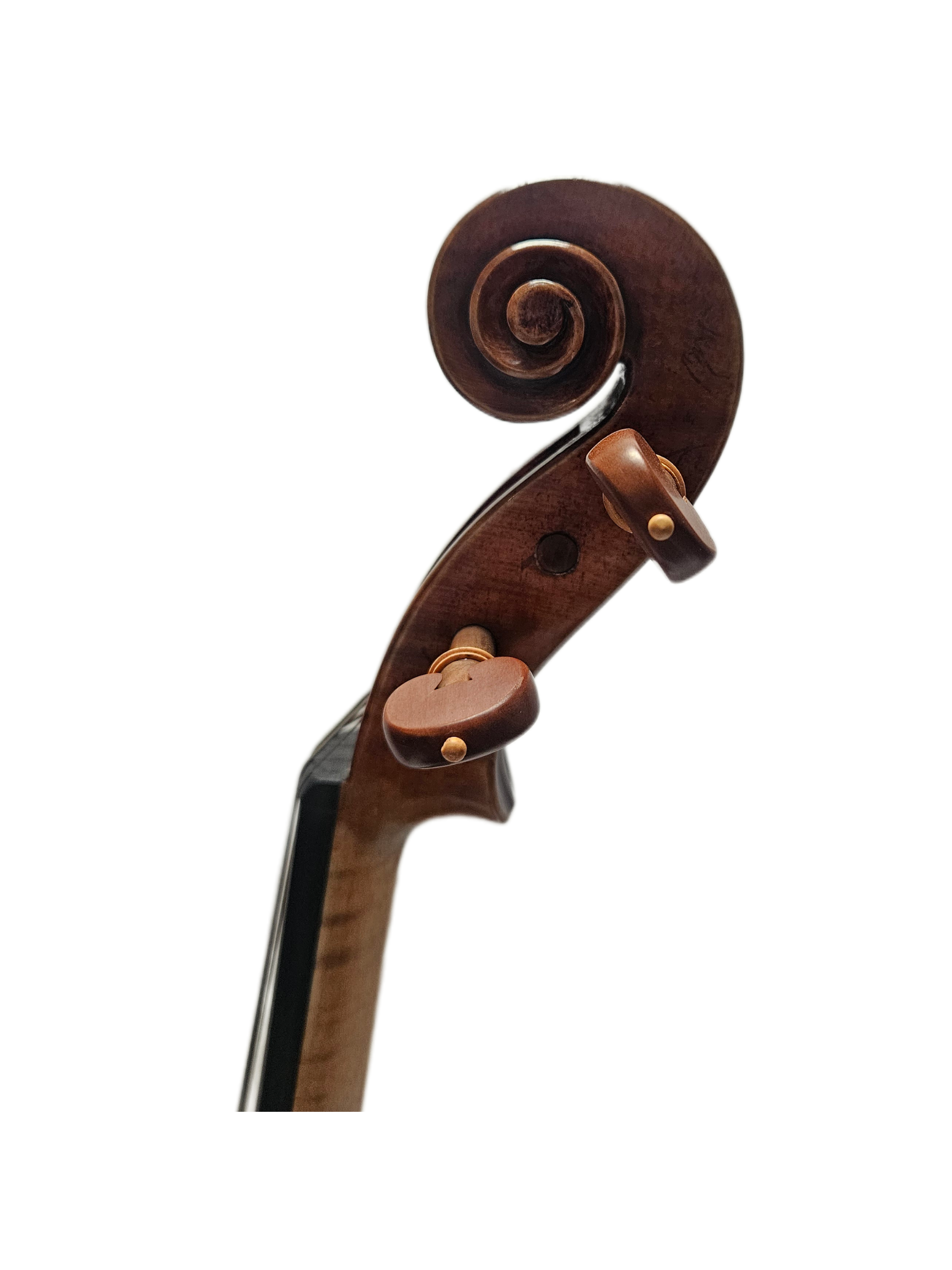 15 Eastman Anniversary Model 830 VA Scroll.png
