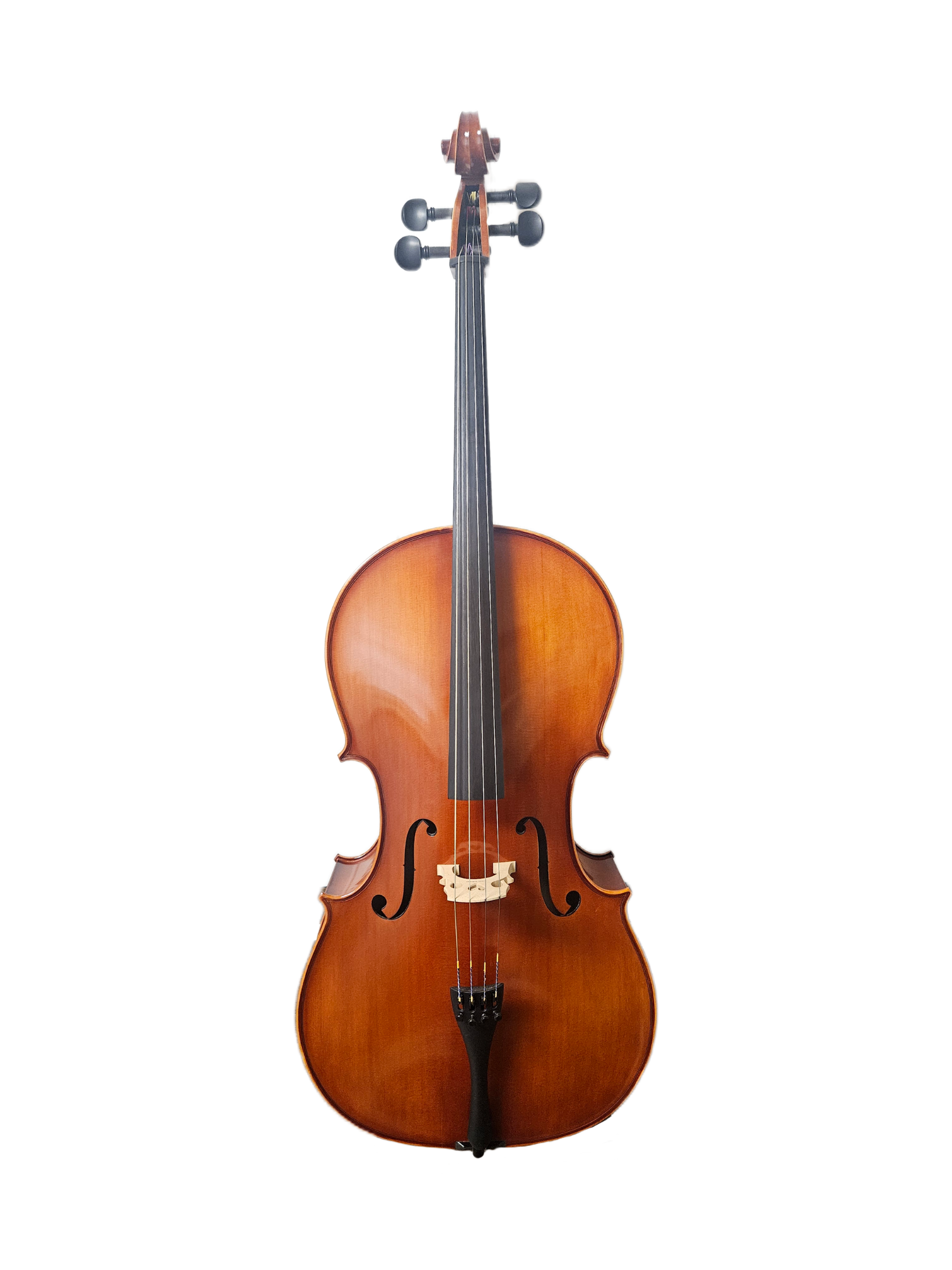 Eastman Model 100 Cello Outfit